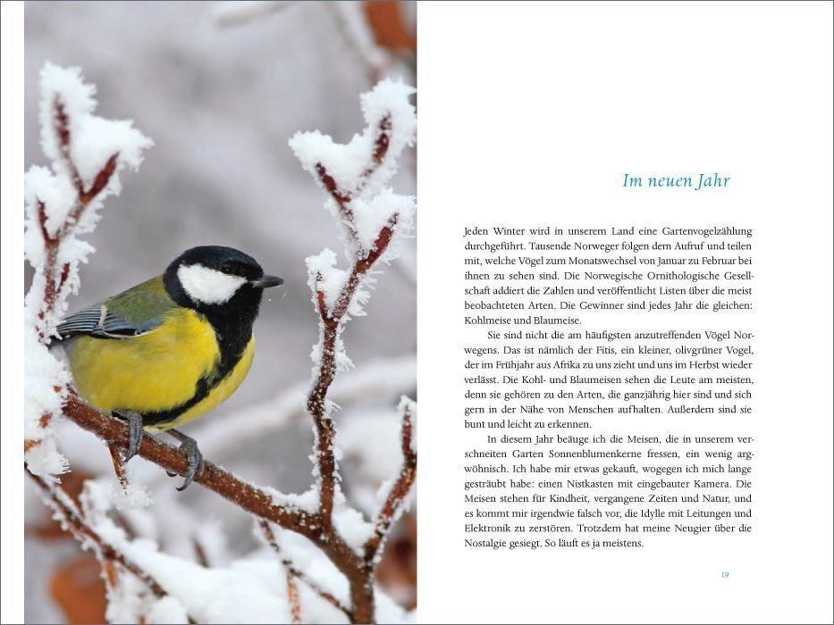 Beispielinhalt (Bild) Das verborgene Leben der Meisen