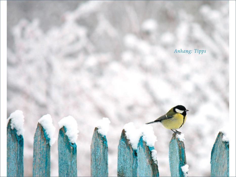 Beispielinhalt (Bild) Das verborgene Leben der Meisen