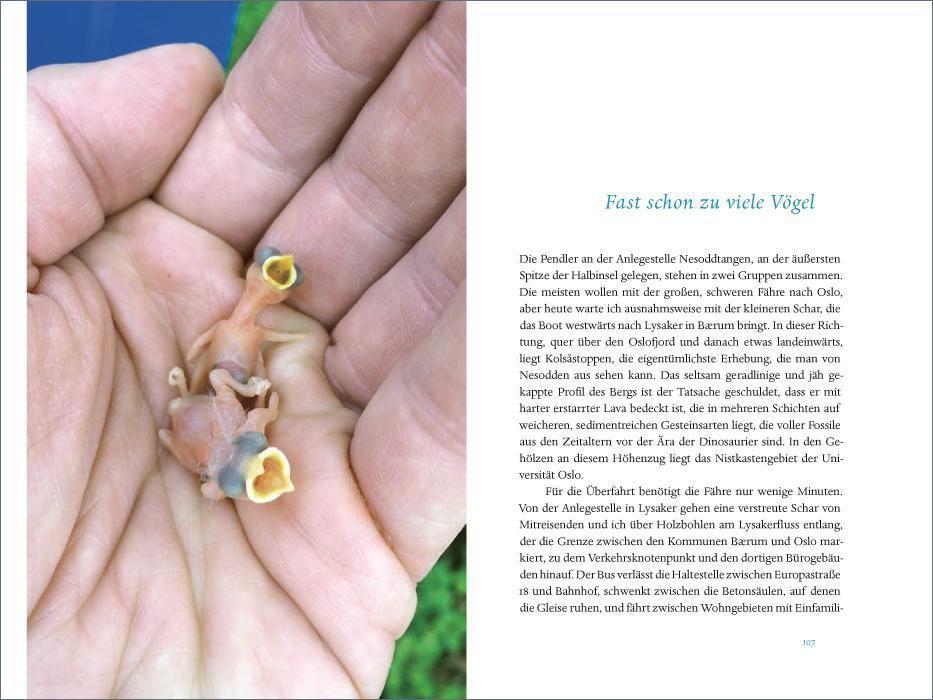 Beispielinhalt (Bild) Das verborgene Leben der Meisen