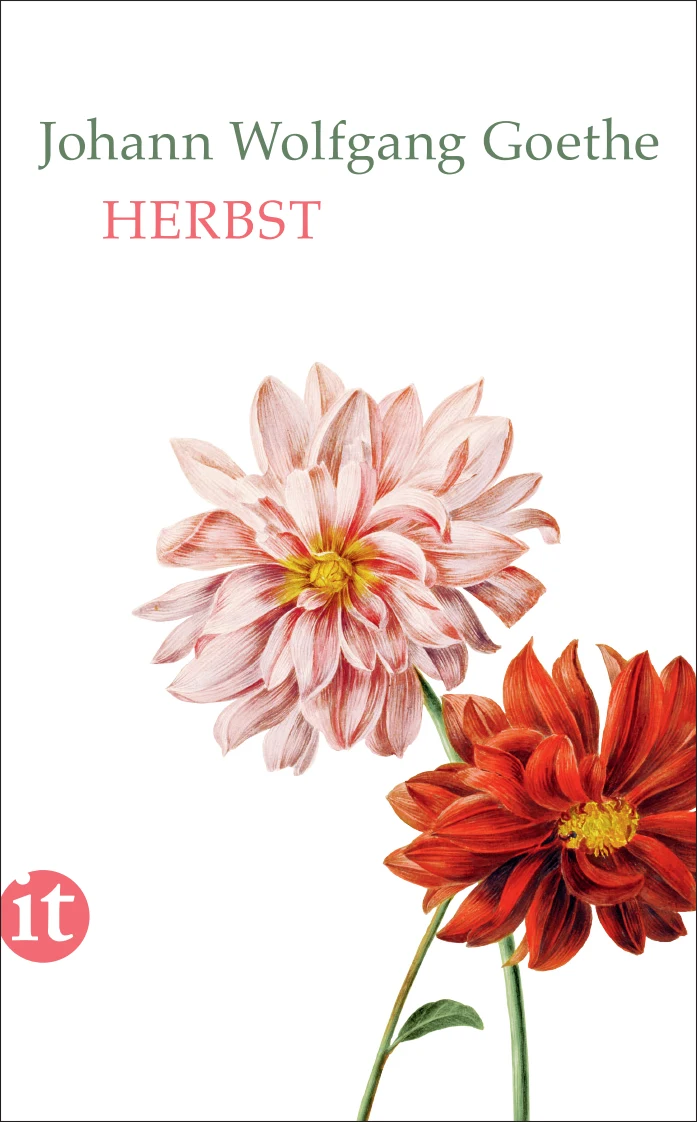 Vorderes Coverbild Herbst