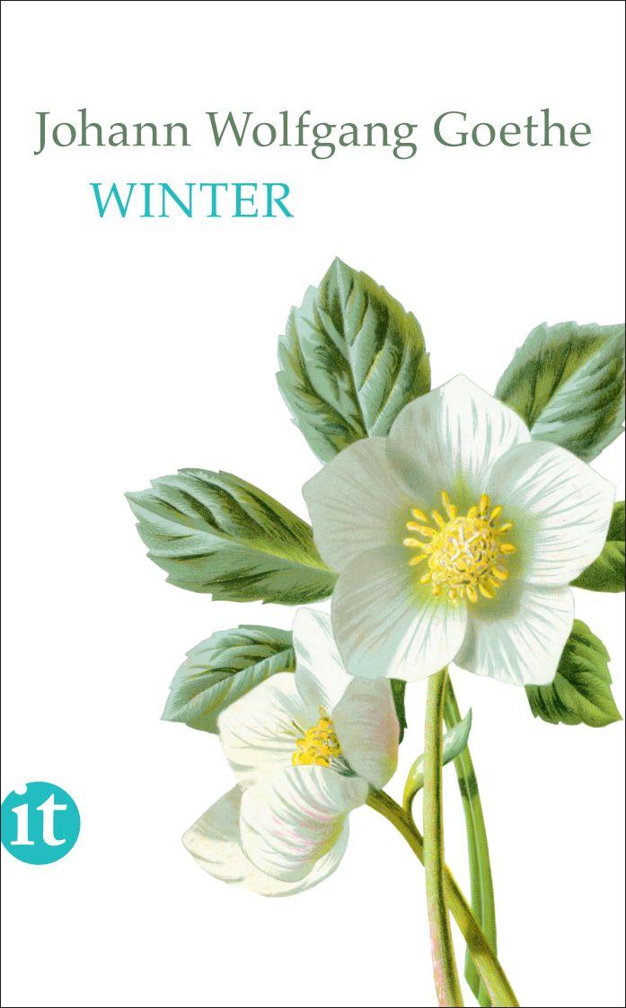 Vorderes Coverbild Winter