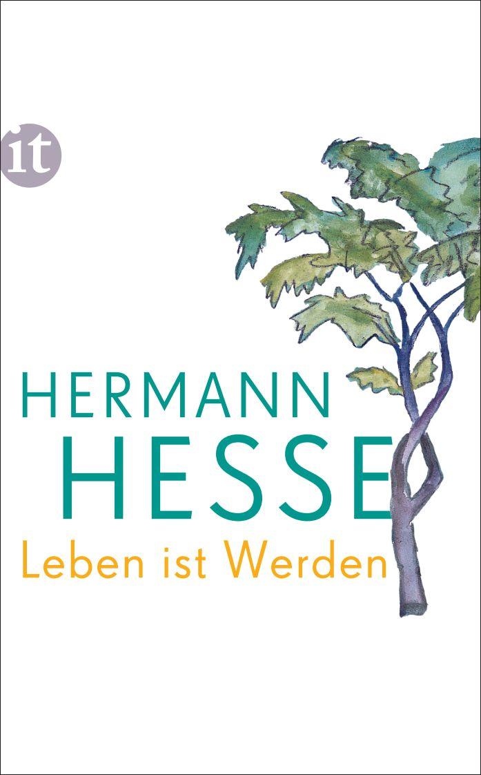Vorderes Coverbild Leben ist Werden