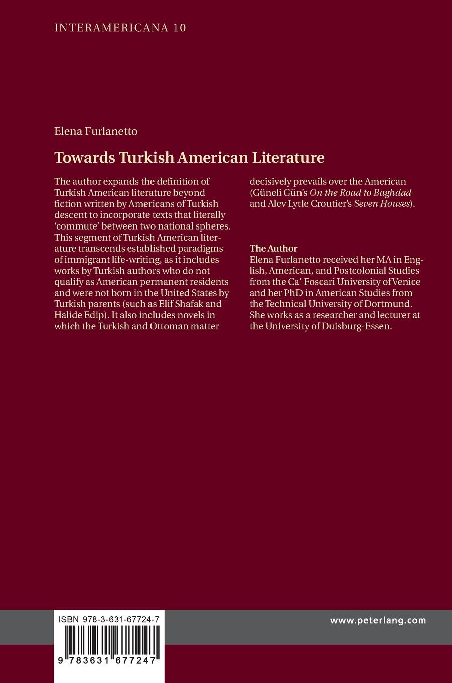 Rückseitencover Towards Turkish American Literature