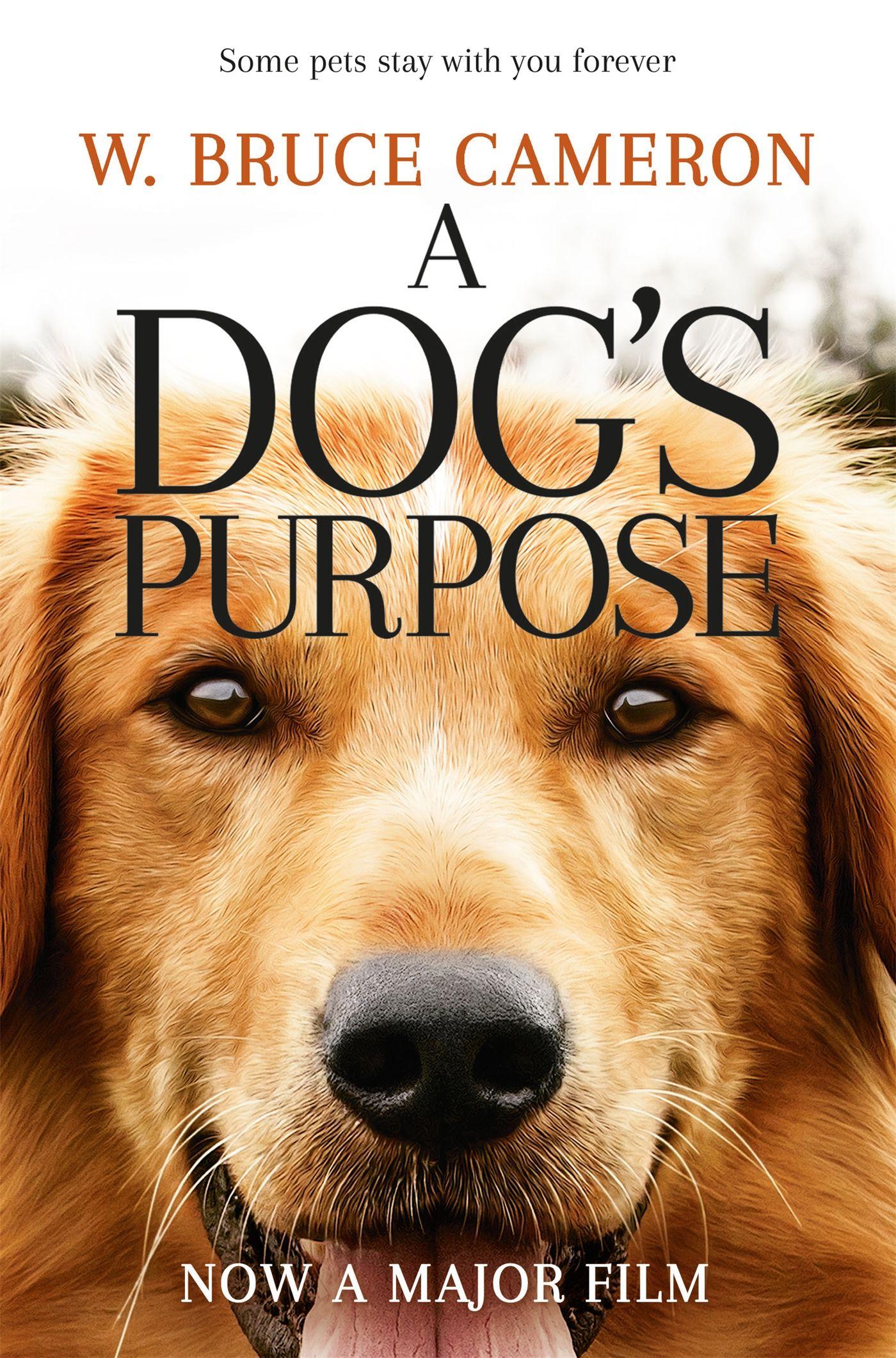 Vorderes Coverbild A Dog's Purpose