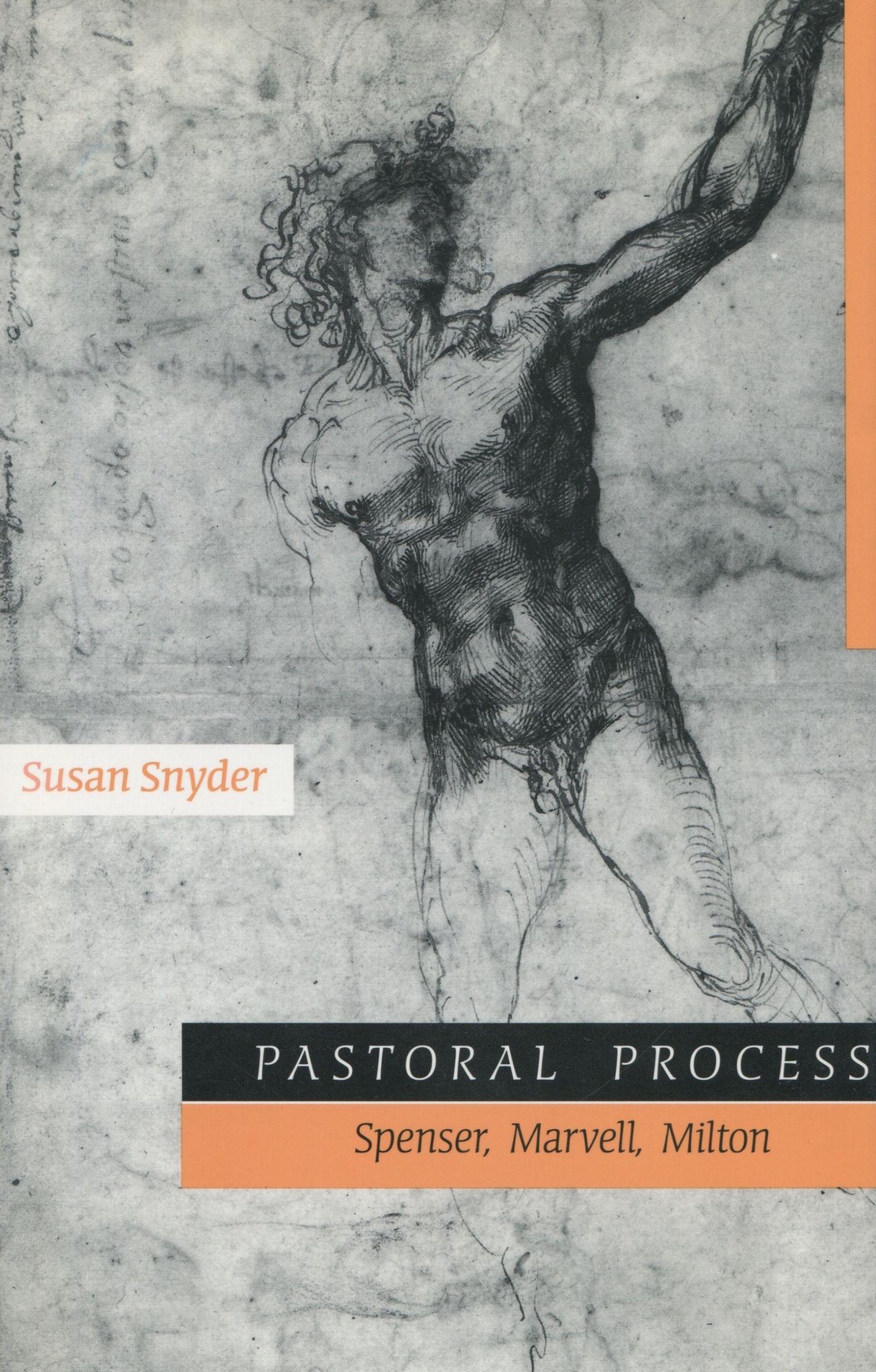 Vorderes Coverbild Pastoral Process