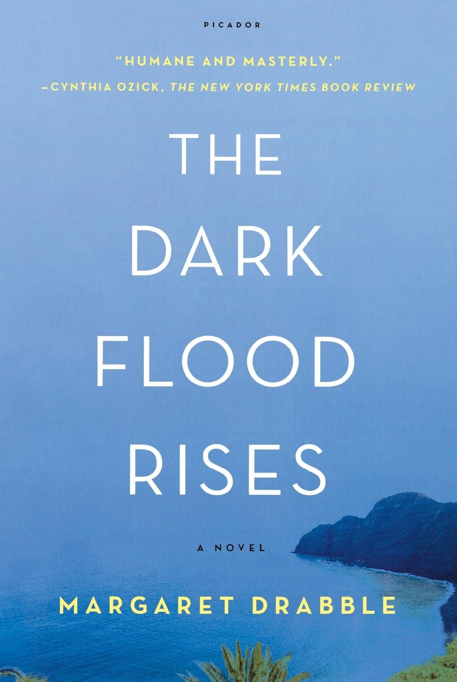 Vorderes Coverbild Dark Flood Rises