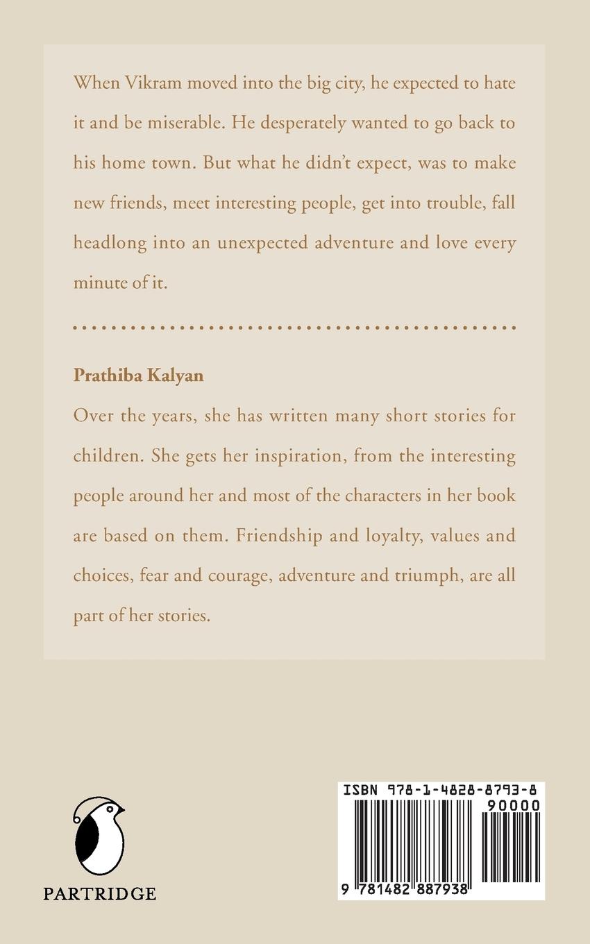 Rückseitencover The Villa Adventure