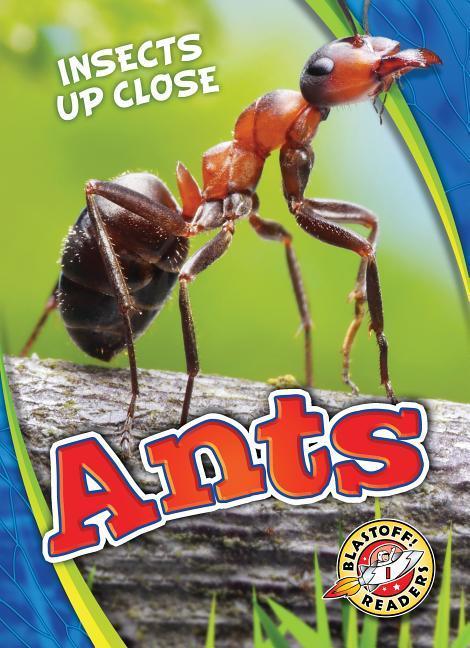 Vorderes Coverbild Ants