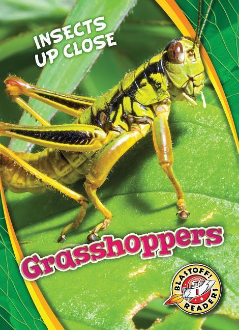 Vorderes Coverbild Grasshoppers
