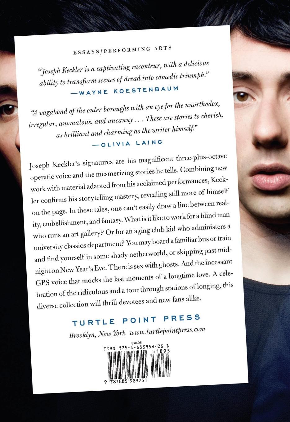 Rückseitencover Dragon at the Edge of a Flat World