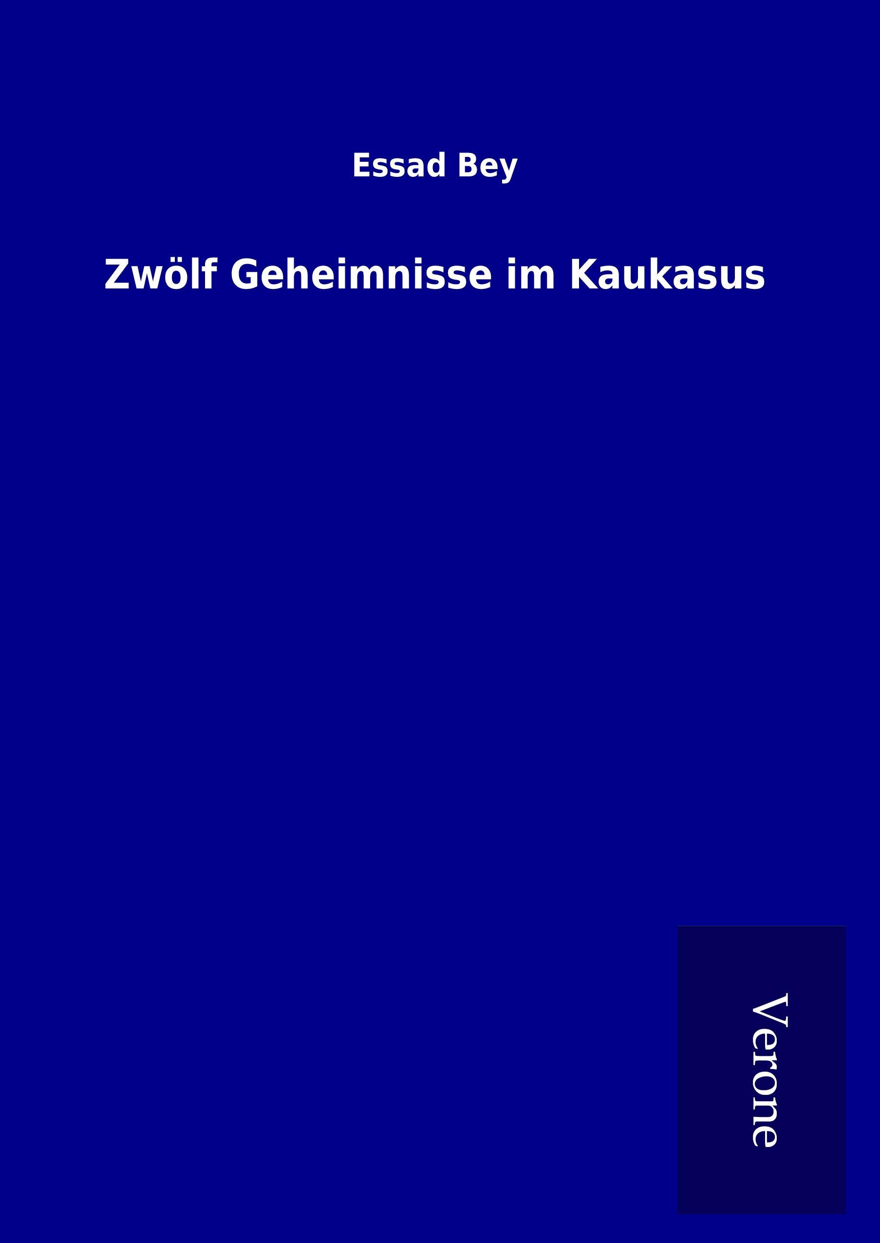 Vorderes Coverbild Zwölf Geheimnisse im Kaukasus