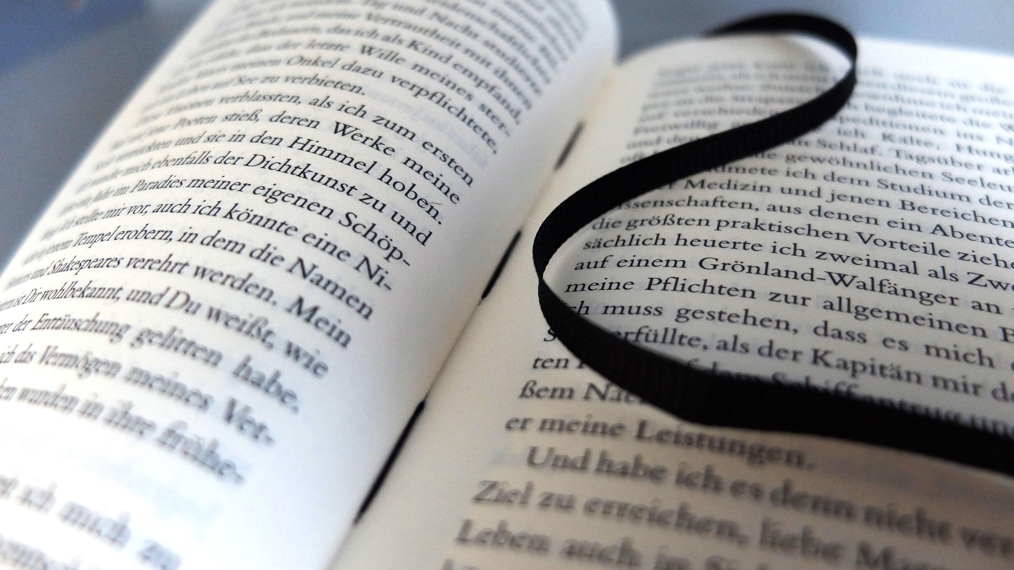 Beispielinhalt (Bild) Frankenstein