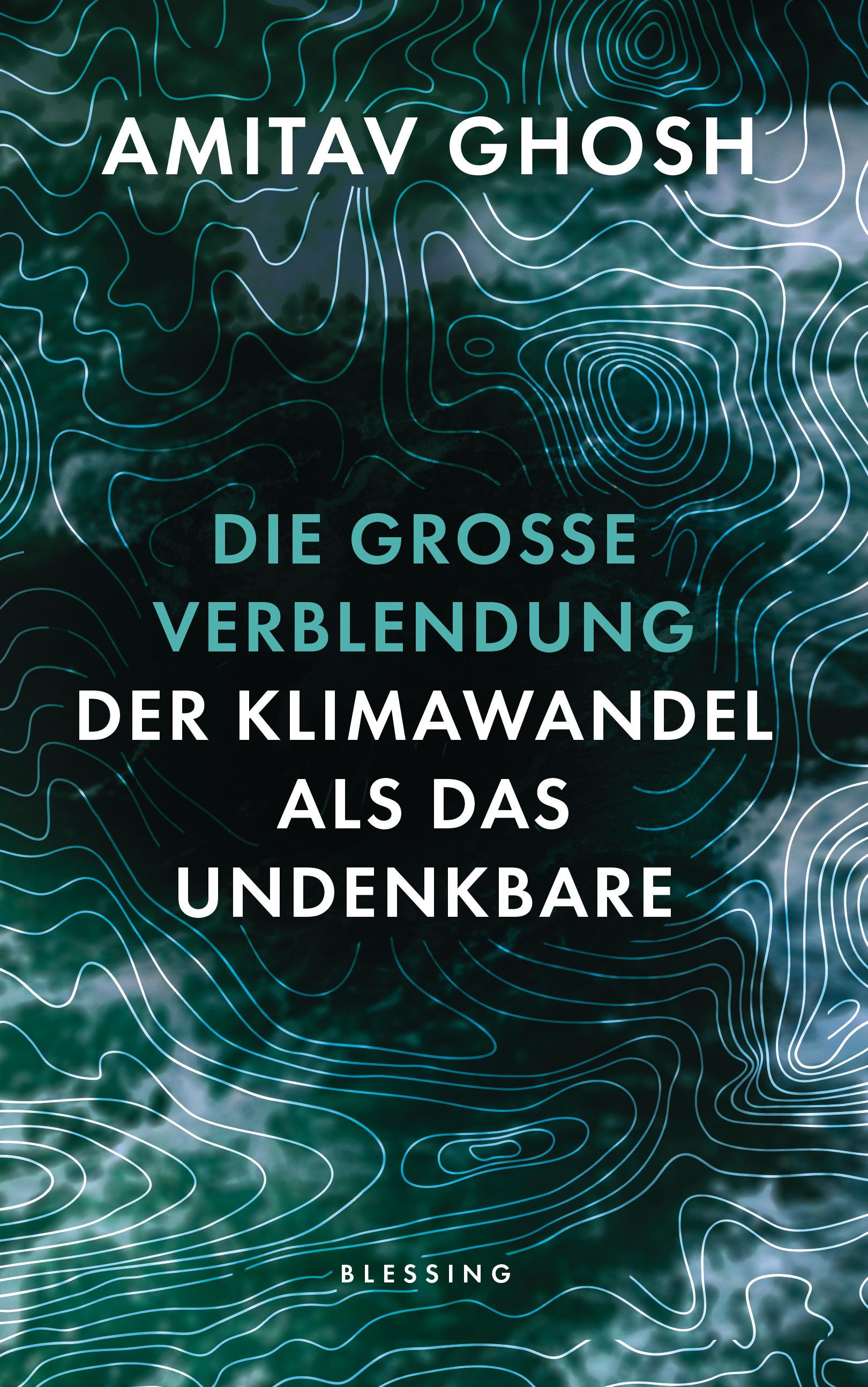 Vorderes Coverbild Die große Verblendung
