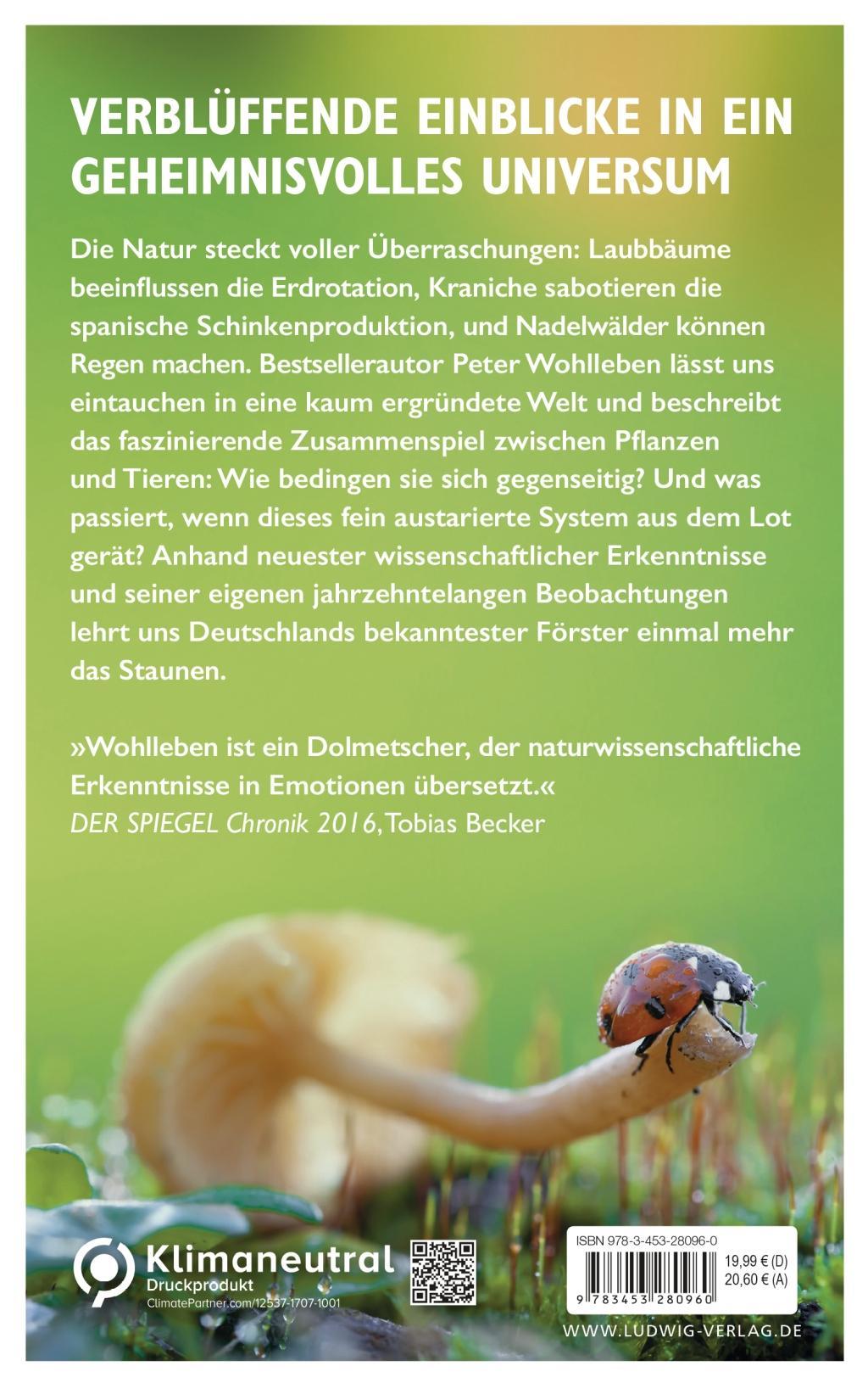 Beispielinhalt (Bild) Das geheime Netzwerk der Natur