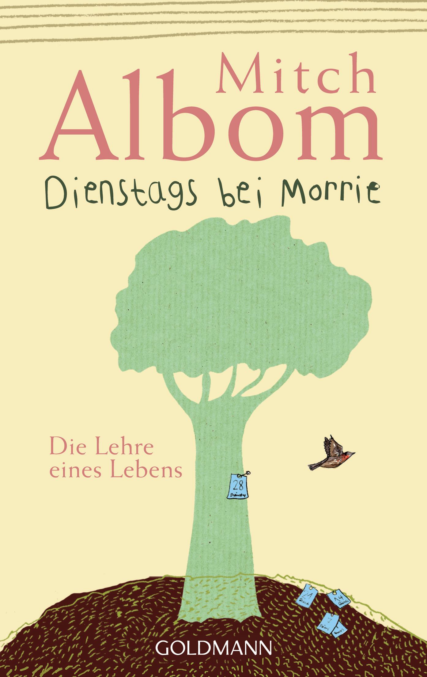 Vorderes Coverbild Dienstags bei Morrie