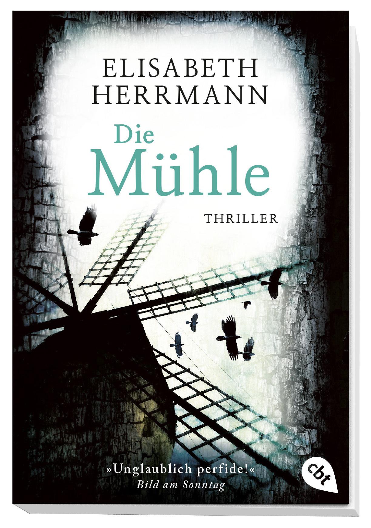 Beispielinhalt (Bild) Die Mühle