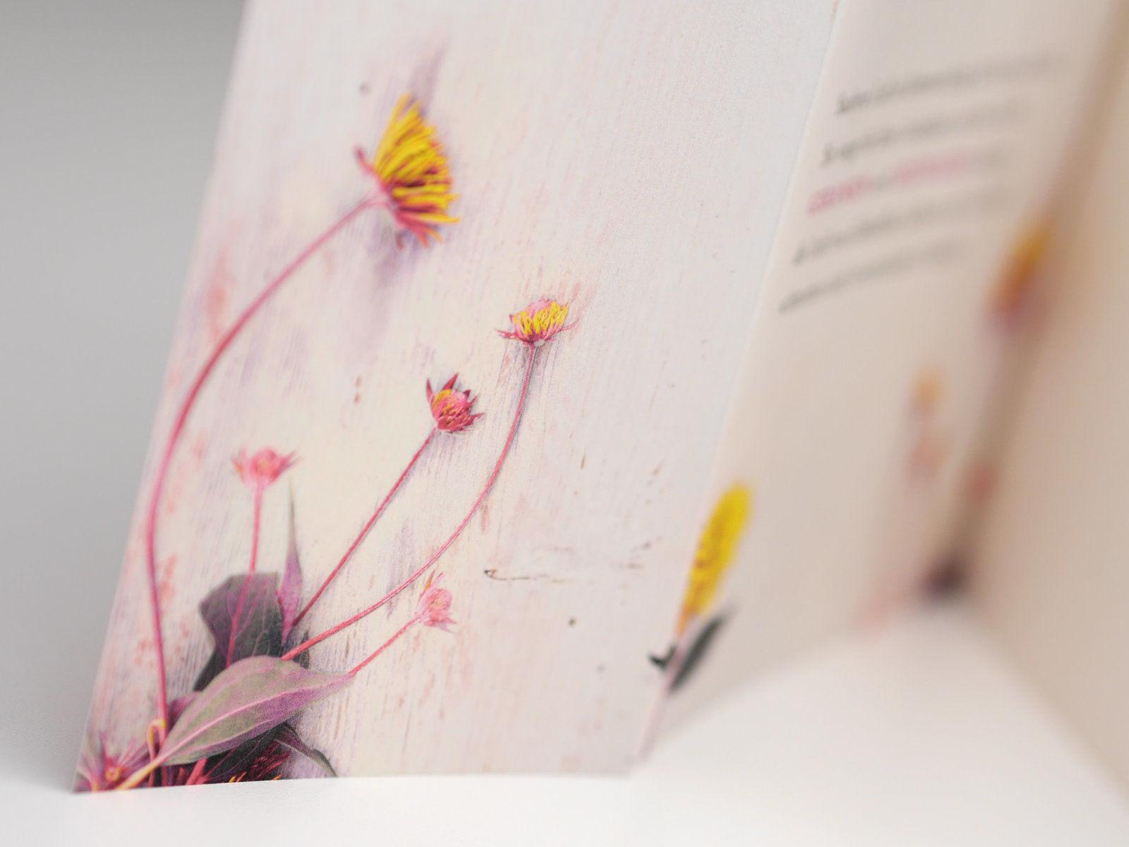 Beispielinhalt (Bild) Die Oleanderschwestern