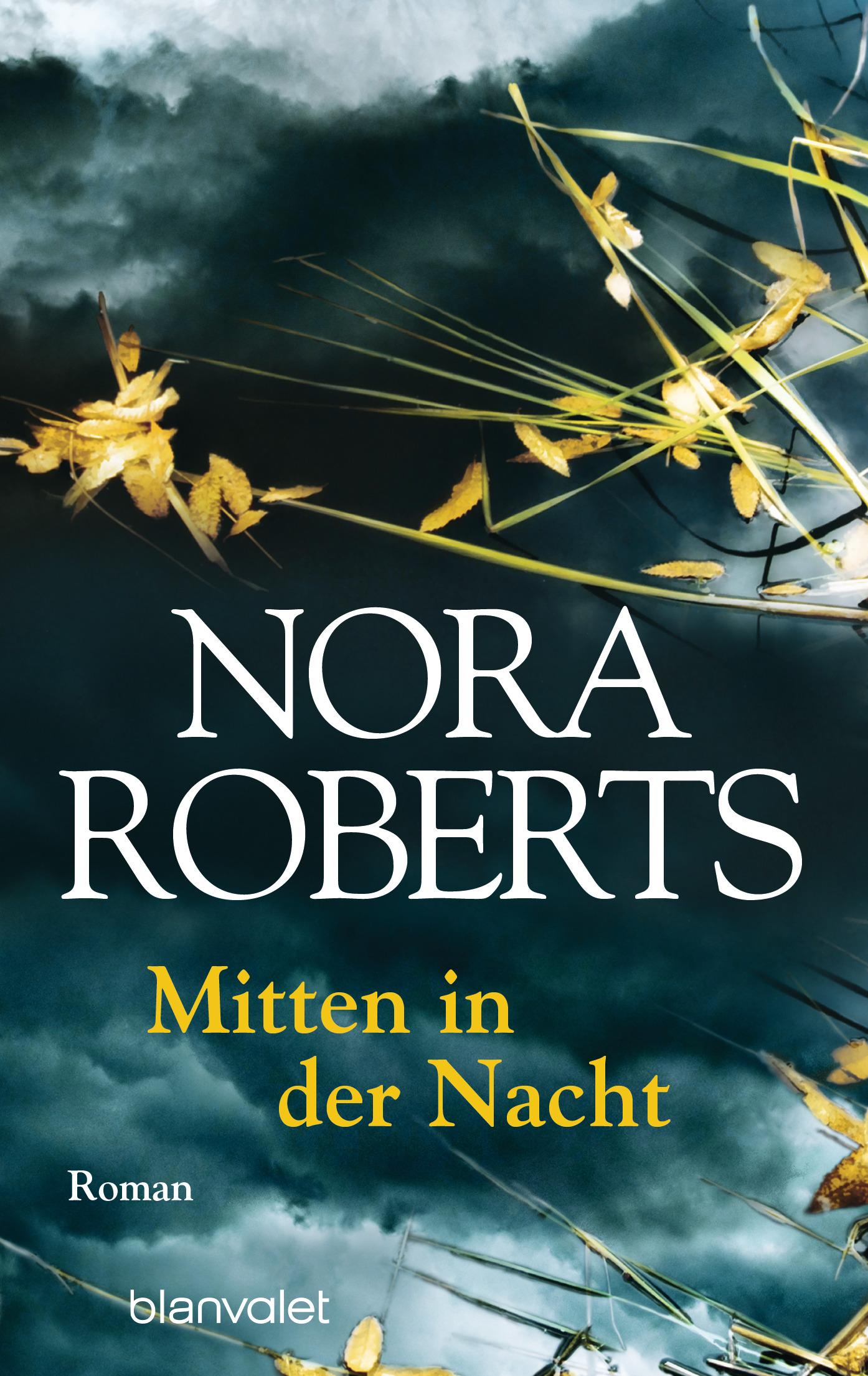 Vorderes Coverbild Mitten in der Nacht