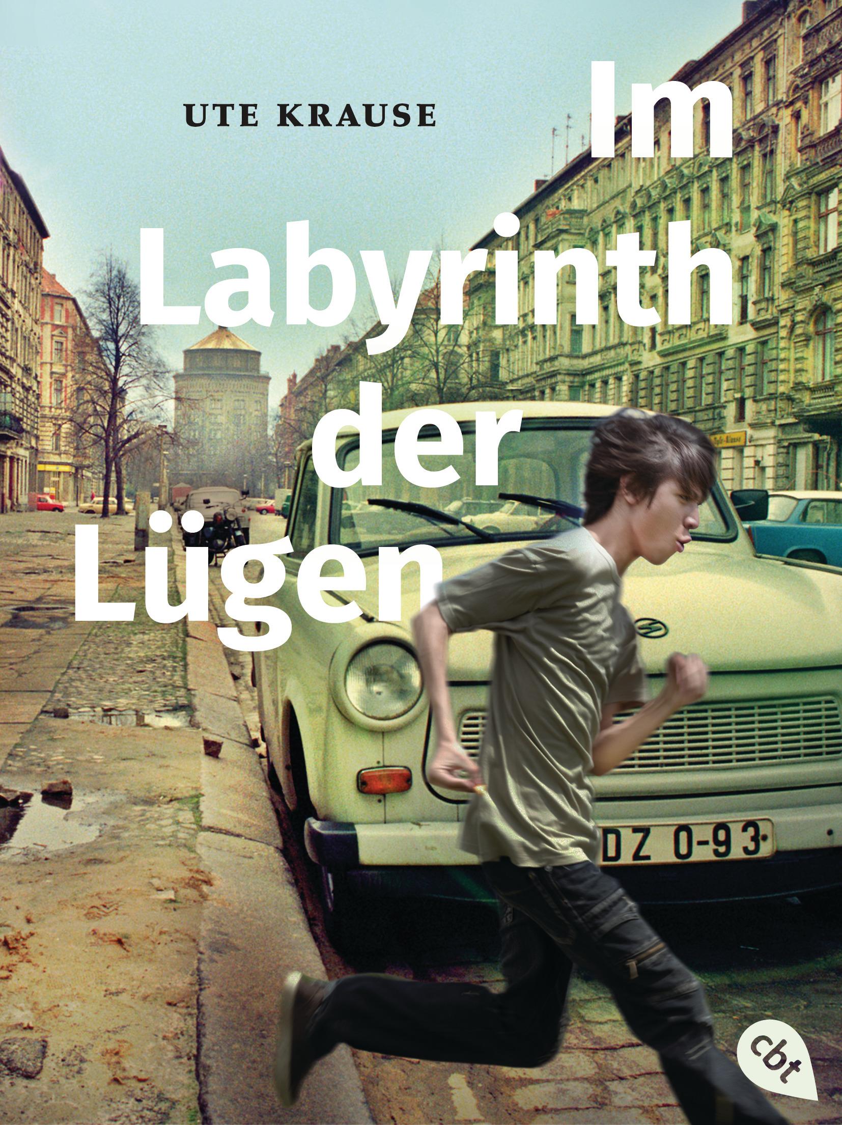Vorderes Coverbild Im Labyrinth der Lügen