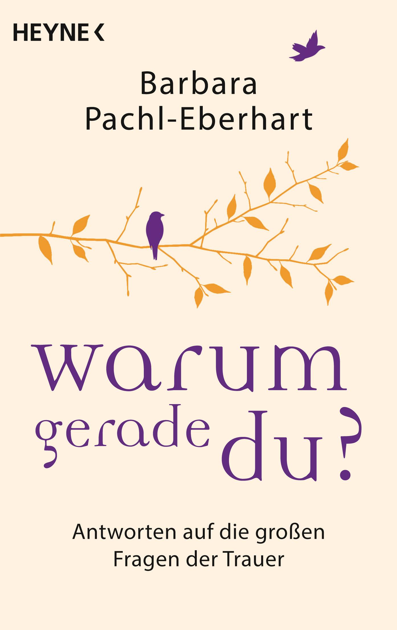Vorderes Coverbild Warum gerade du?