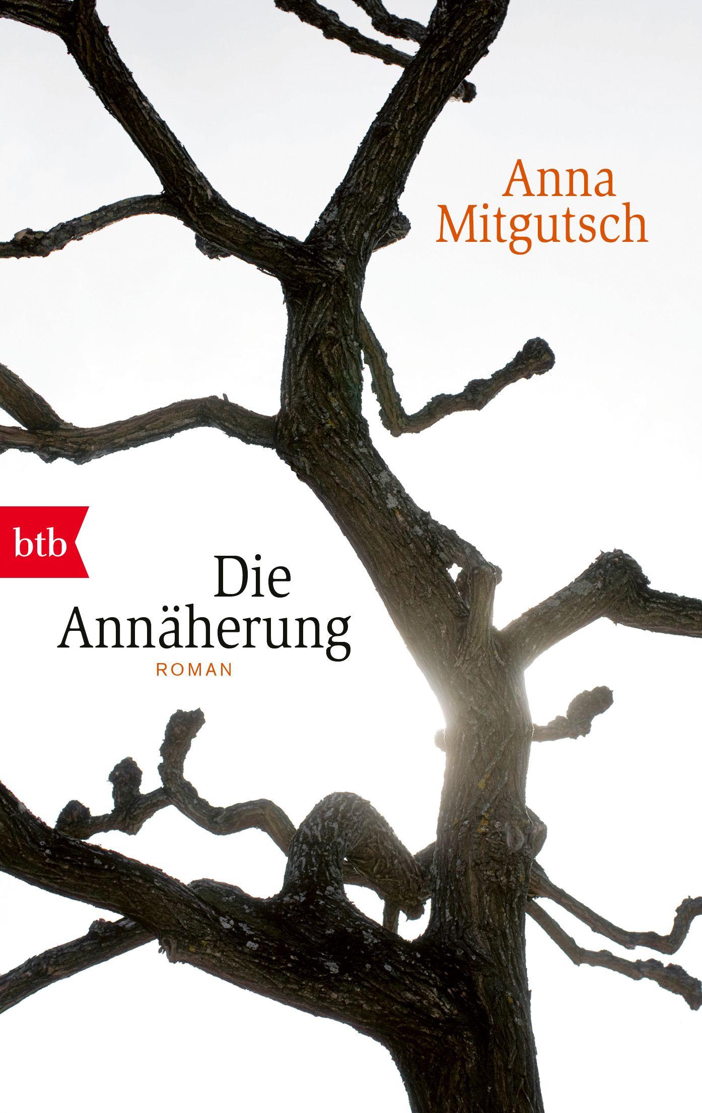 Vorderes Coverbild Die Annäherung