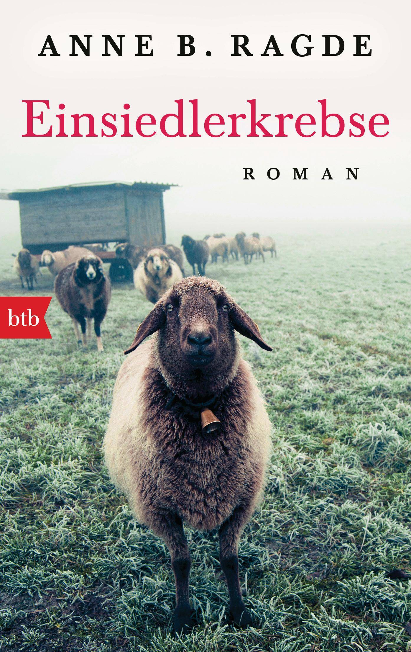 Vorderes Coverbild Einsiedlerkrebse