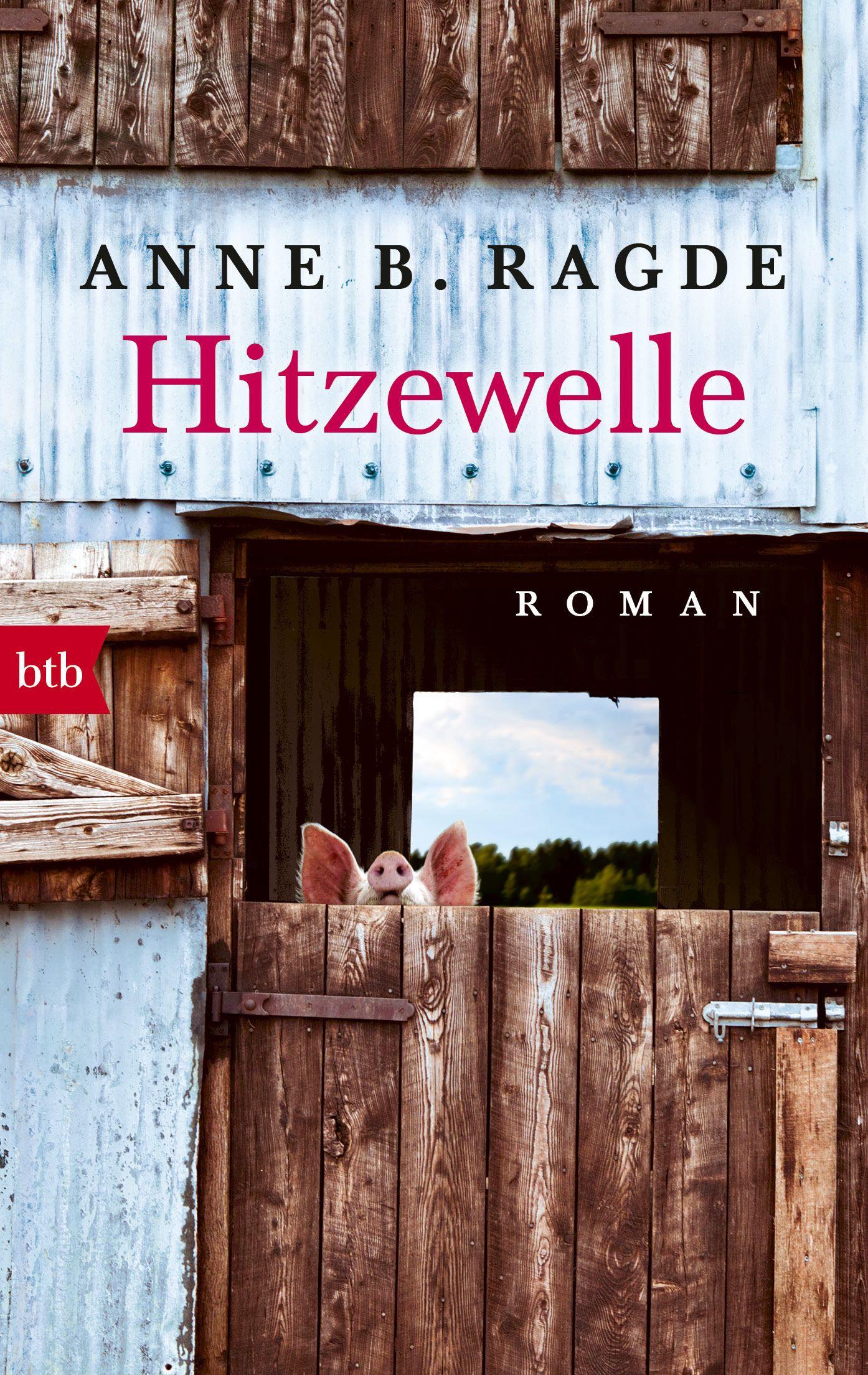 Vorderes Coverbild Hitzewelle