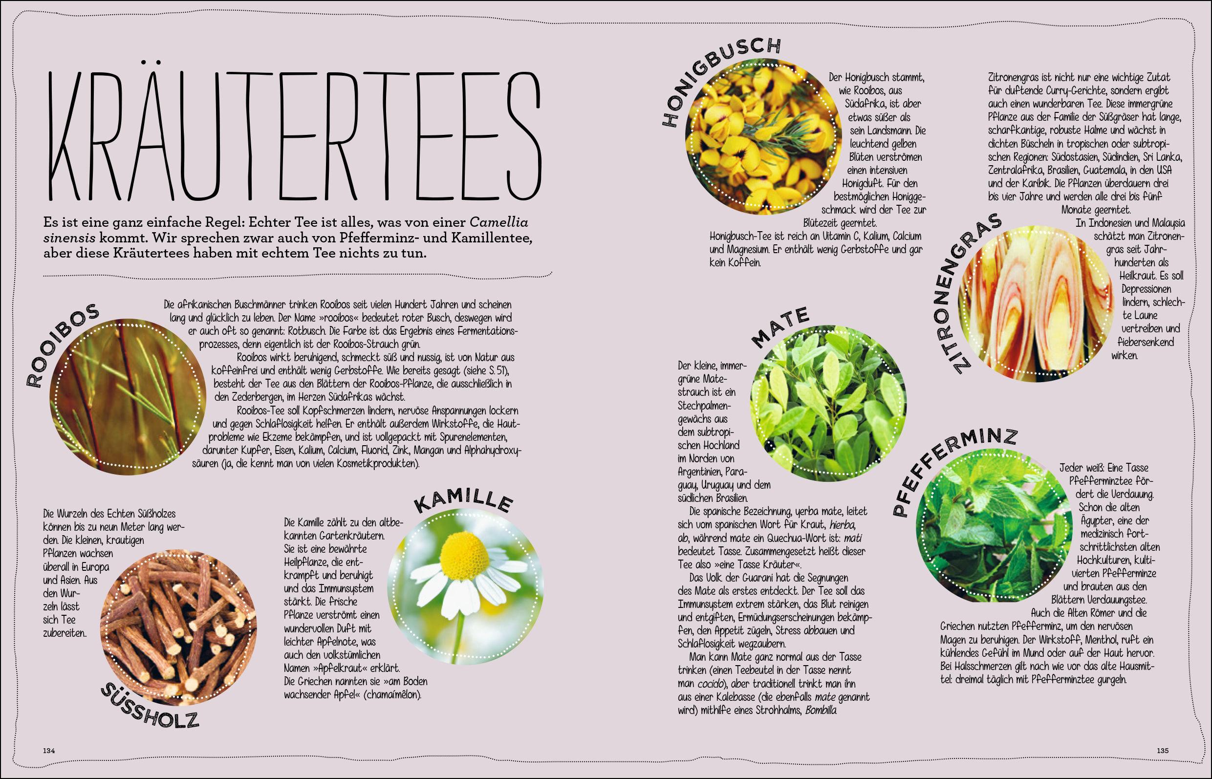 Beispielinhalt (Bild) Tee