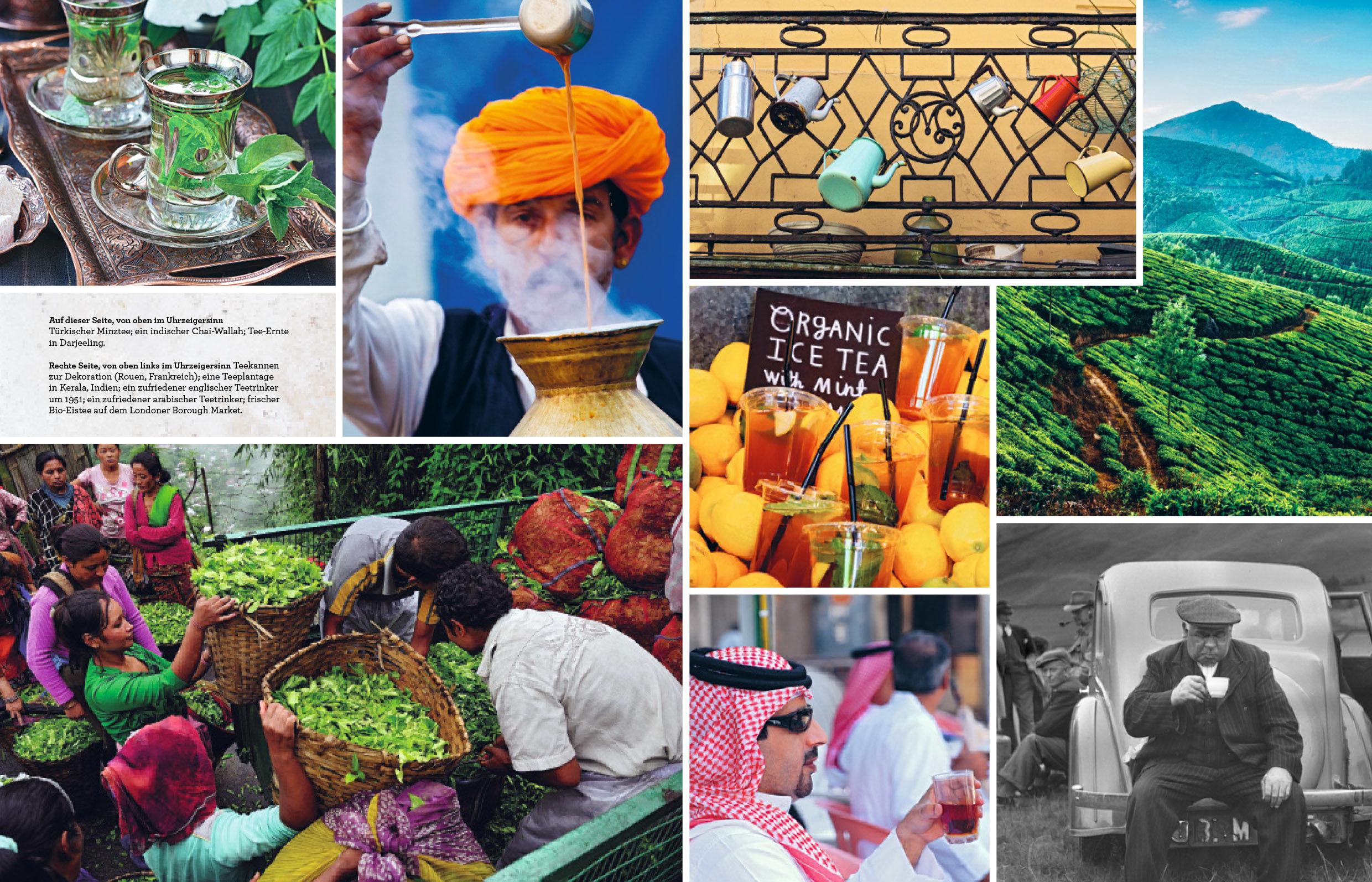 Beispielinhalt (Bild) Tee