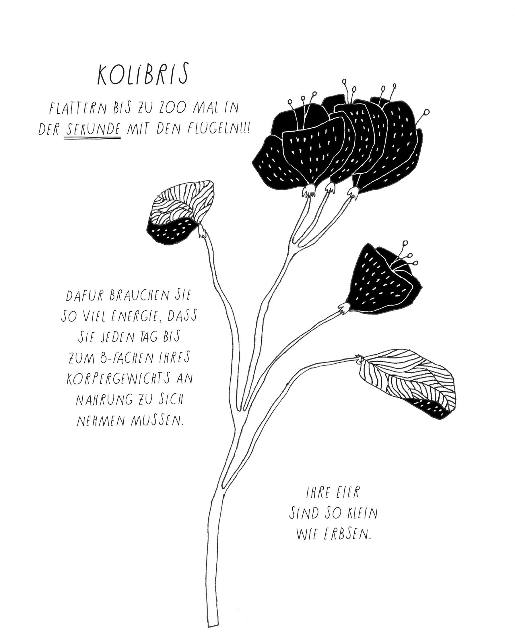 Beispielinhalt (Bild) Pinguine sind kitzlig, Bienen schlafen nie, und keiner schwimmt so langsam wie das Seepferdchen