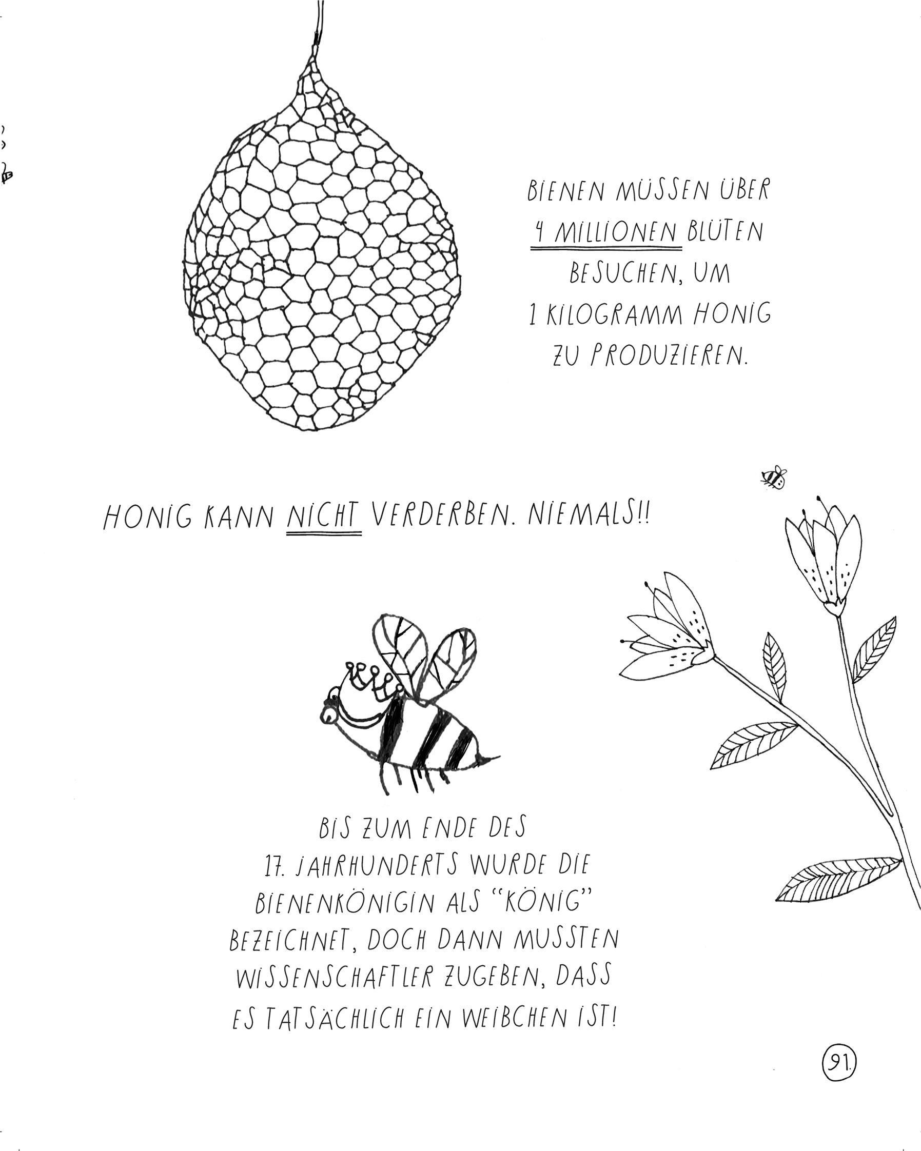 Beispielinhalt (Bild) Pinguine sind kitzlig, Bienen schlafen nie, und keiner schwimmt so langsam wie das Seepferdchen