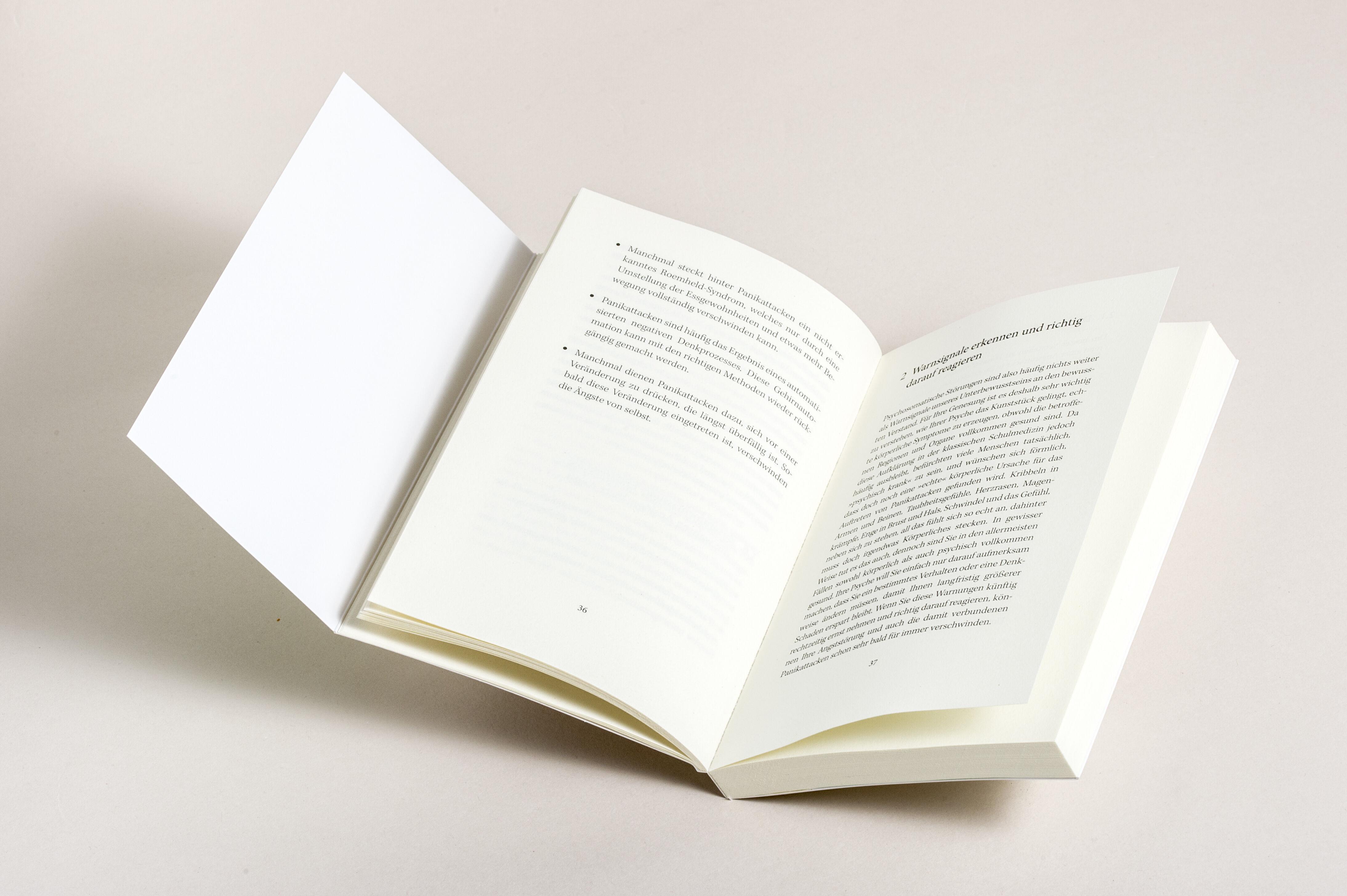 Beispielinhalt (Bild) Panikattacken und andere Angststörungen loswerden