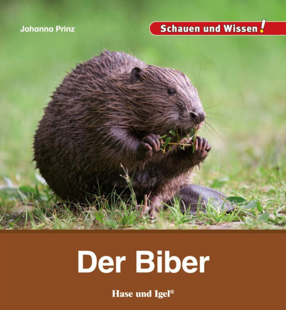 Vorderes Coverbild Der Biber