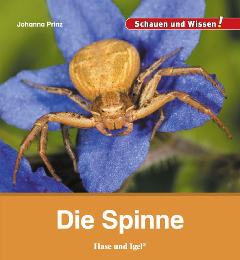 Vorderes Coverbild Die Spinne