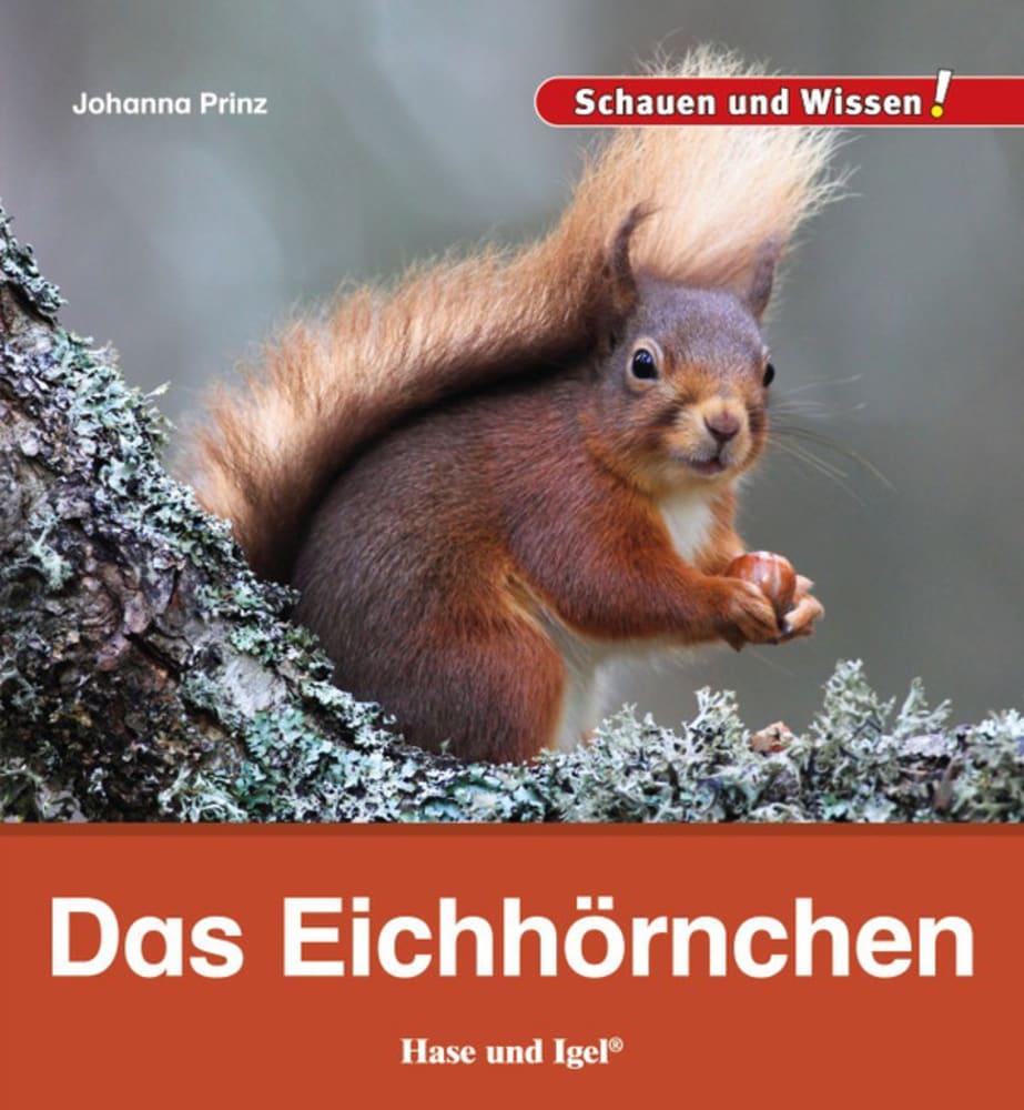 Vorderes Coverbild Das Eichhörnchen