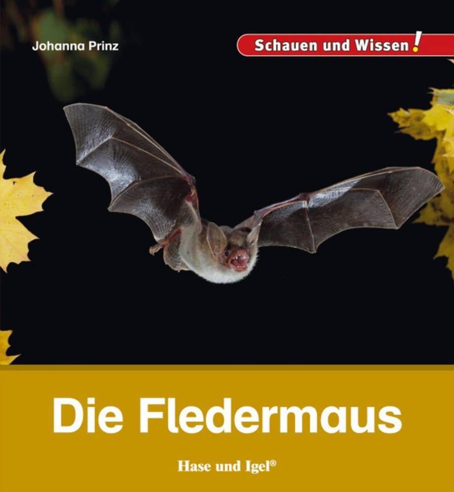 Vorderes Coverbild Die Fledermaus