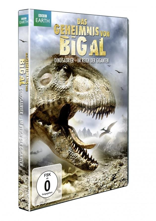 Vorderes Coverbild Das Geheimnis von Big Al