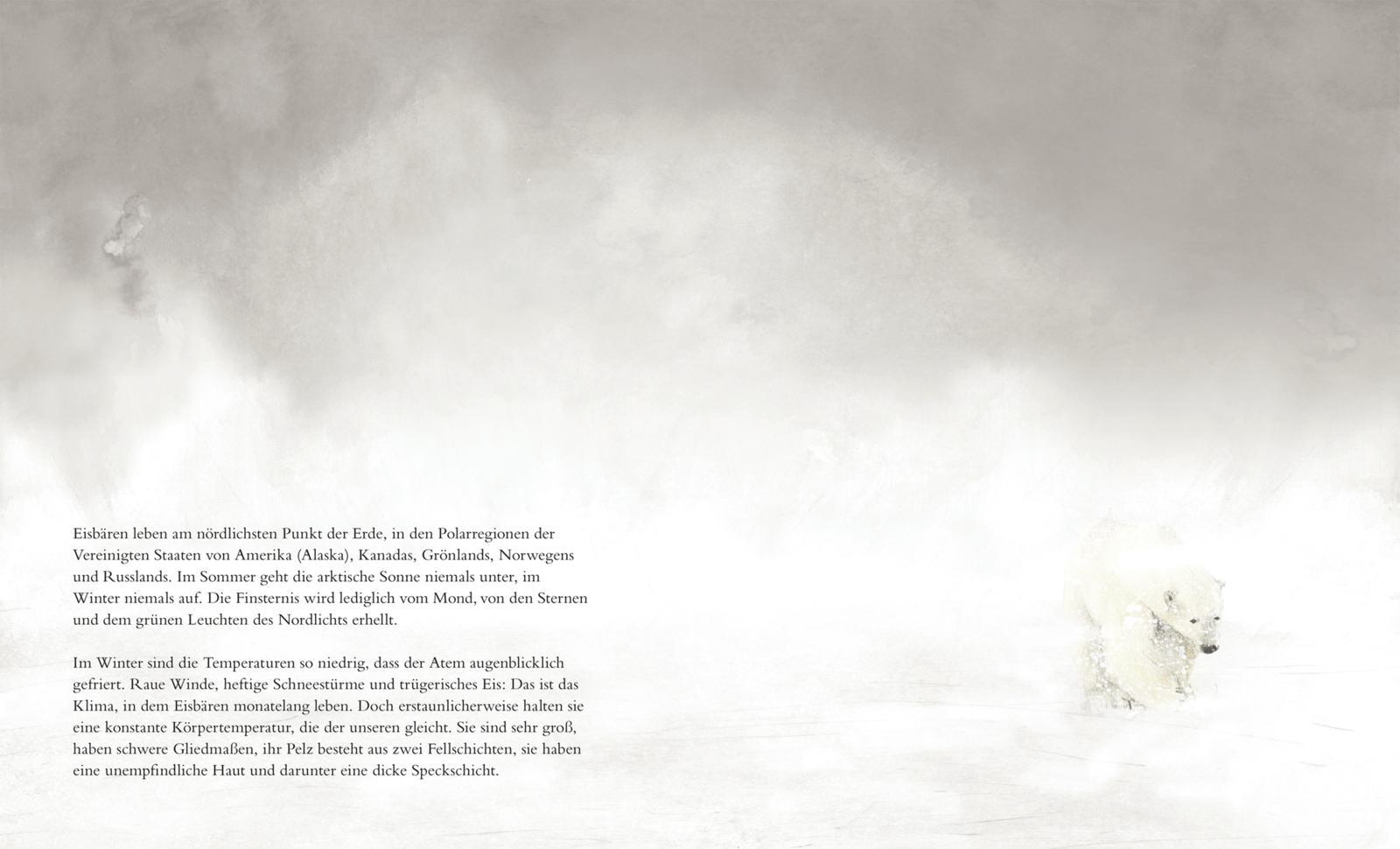 Beispielinhalt (Bild) Der Eisbär