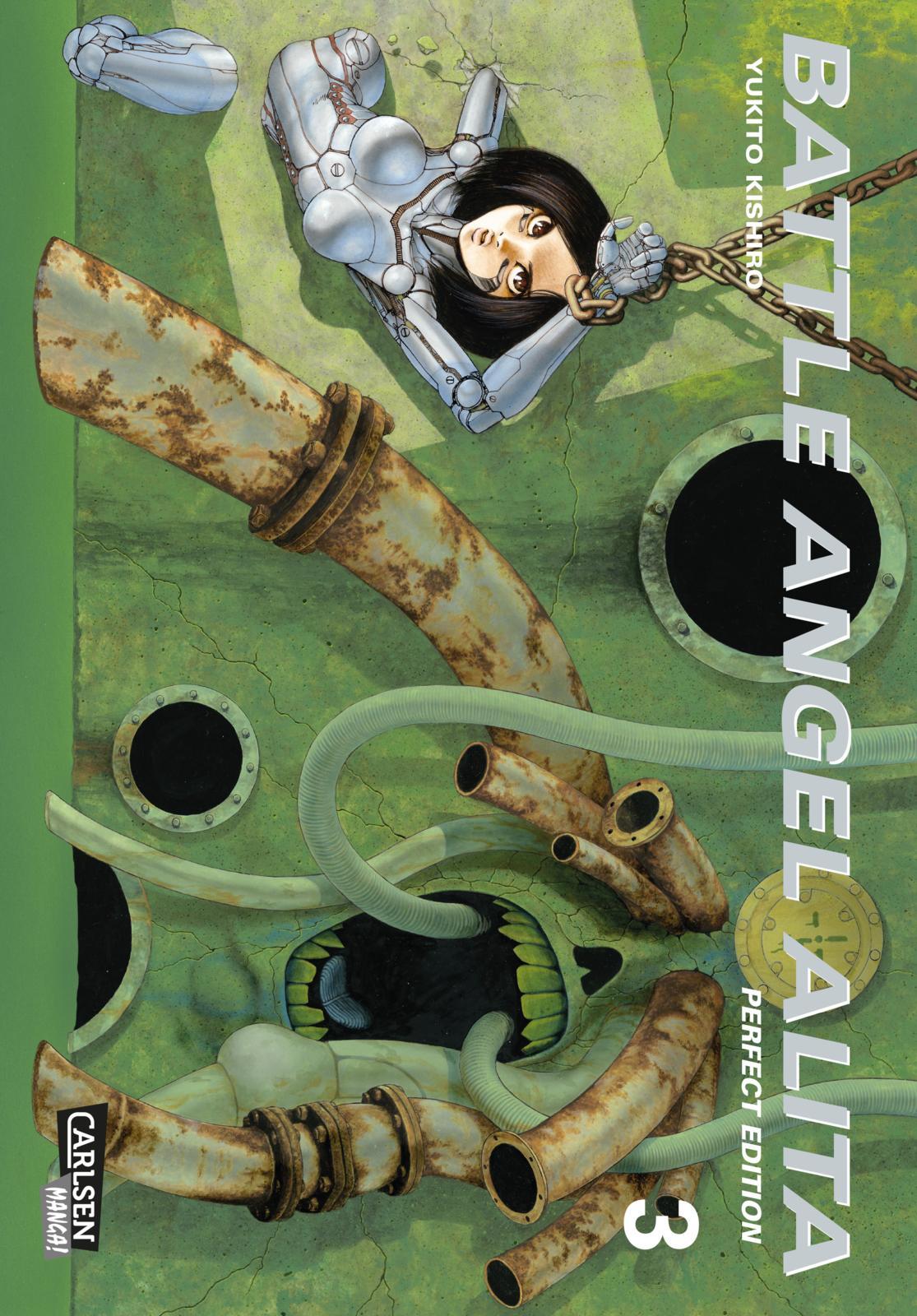 Vorderes Coverbild Battle Angel Alita - Perfect Edition 3