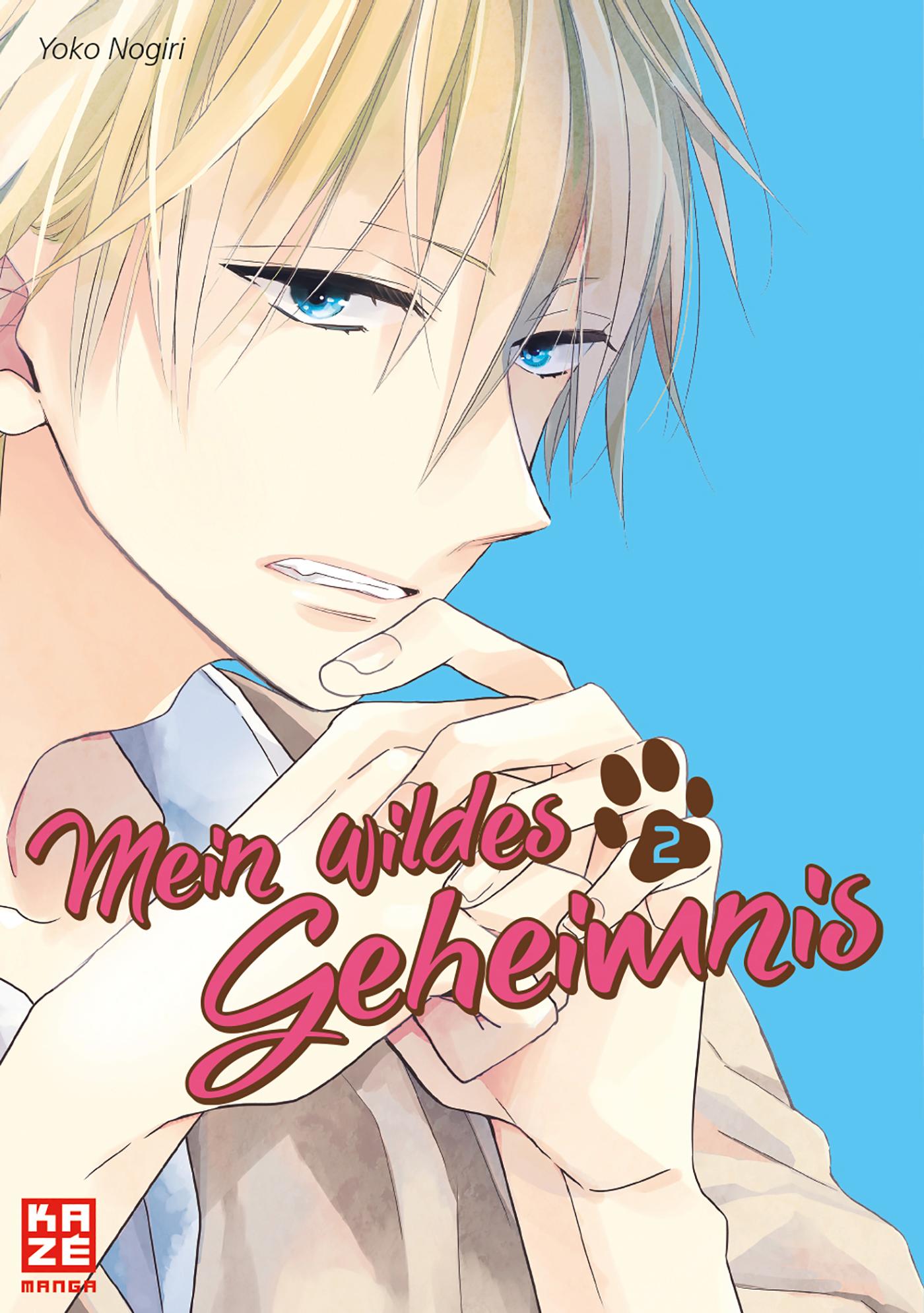 Vorderes Coverbild Mein wildes Geheimnis 02