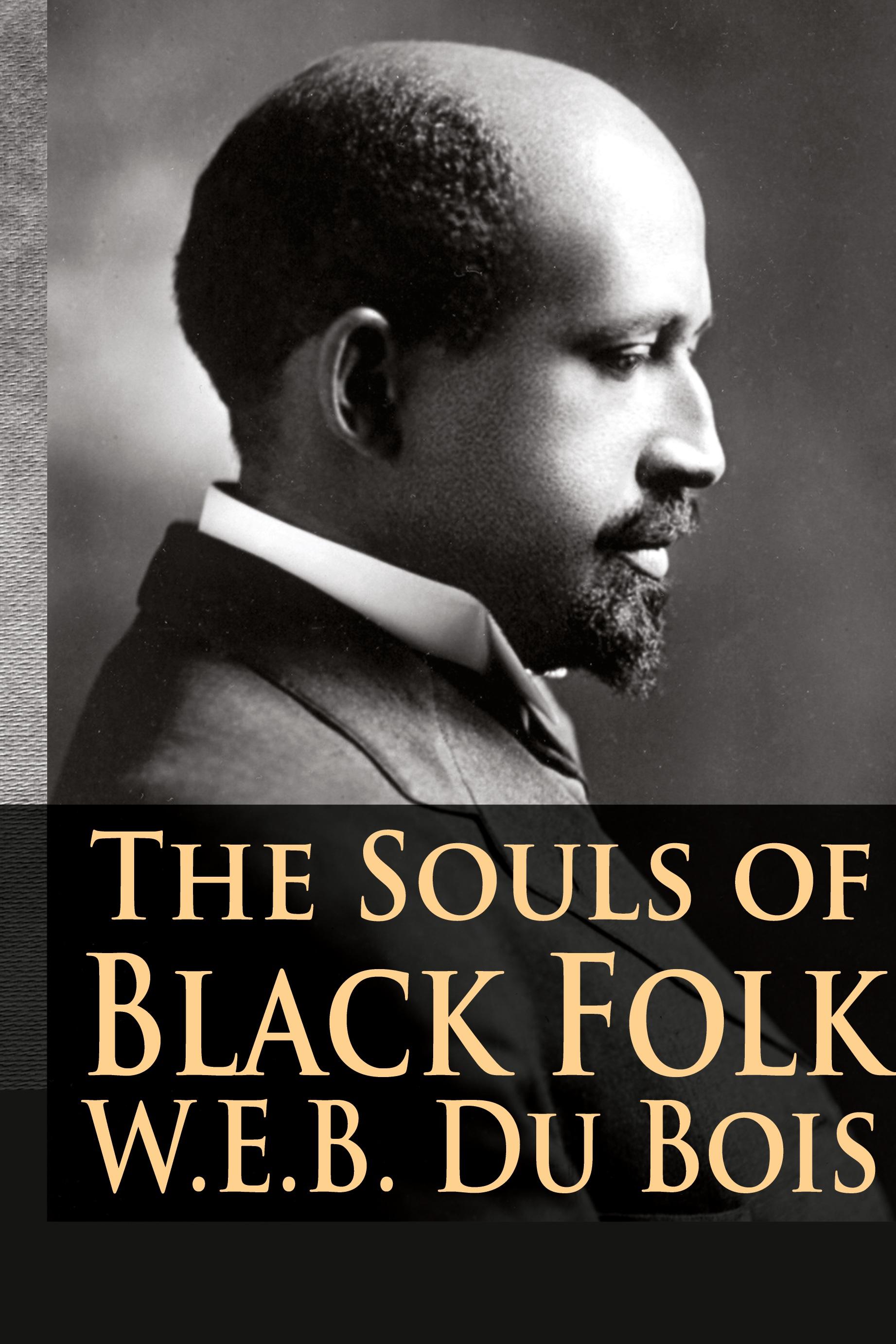 Vorderes Coverbild The Souls of Black Folk