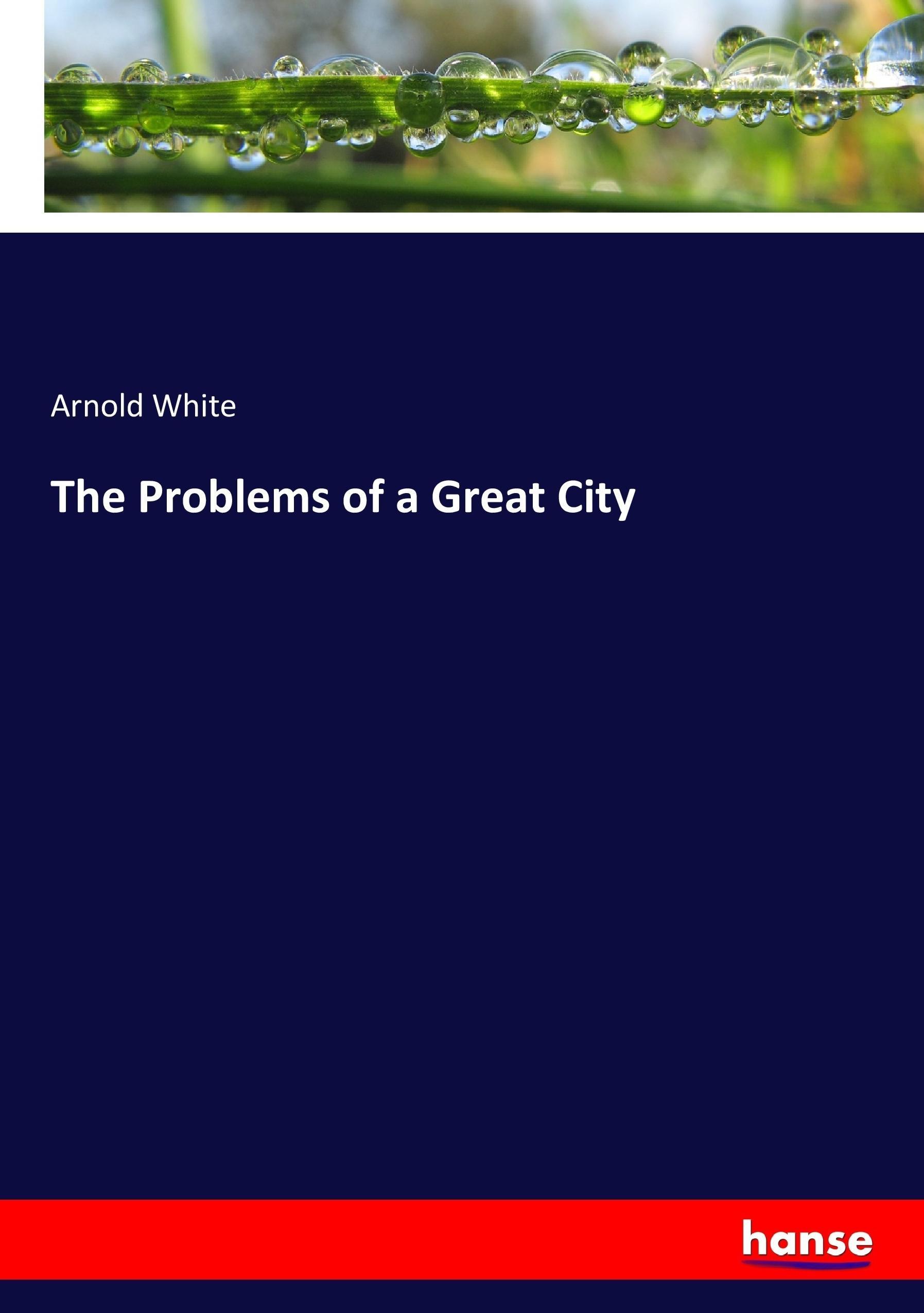 Vorderes Coverbild The Problems of a Great City