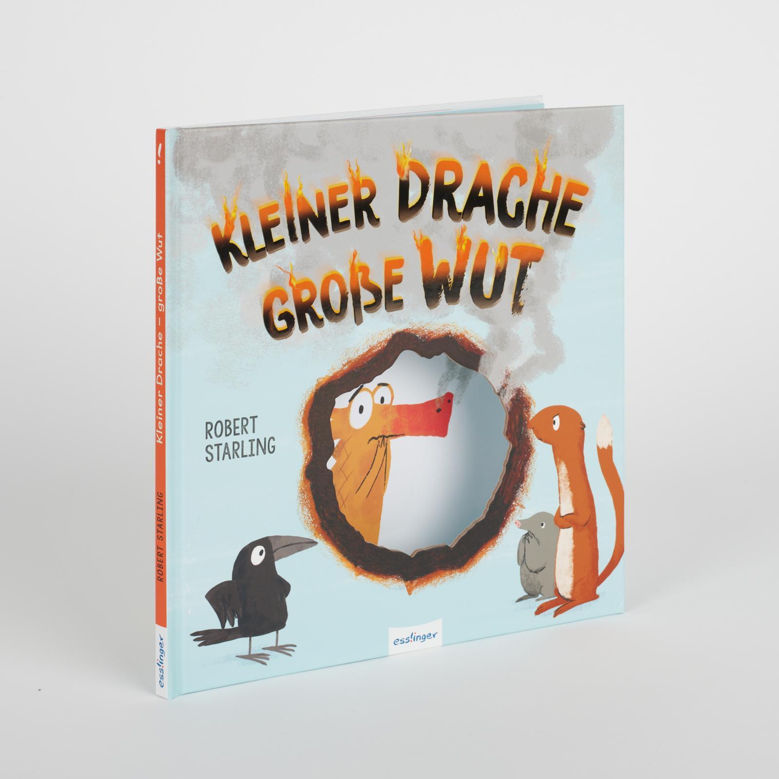 Beispielinhalt (Bild) Kleiner Drache - große Wut