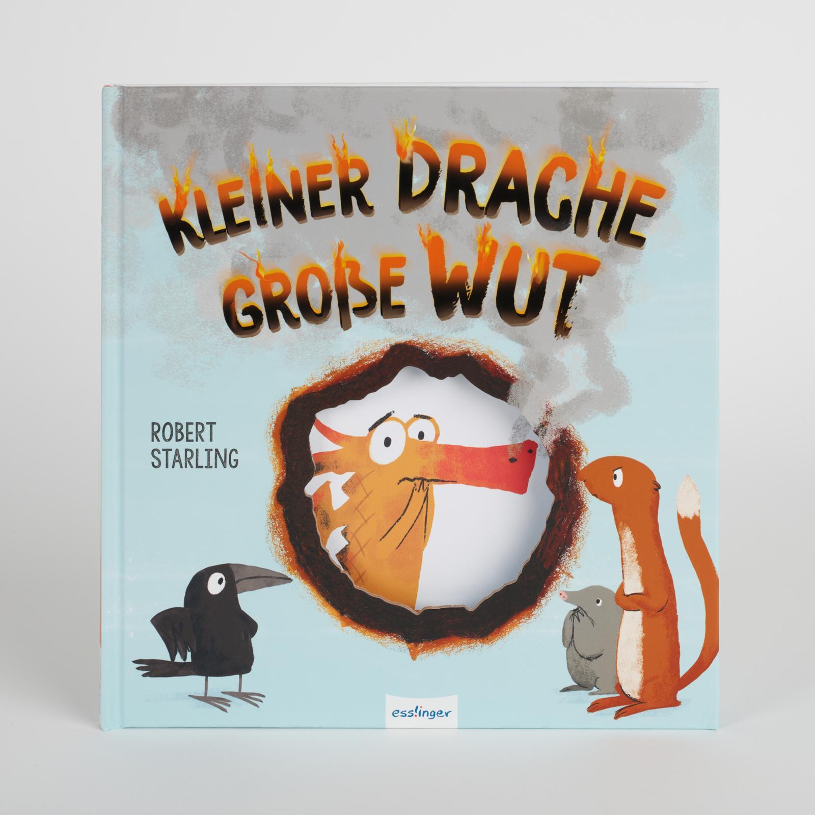 Beispielinhalt (Bild) Kleiner Drache - große Wut