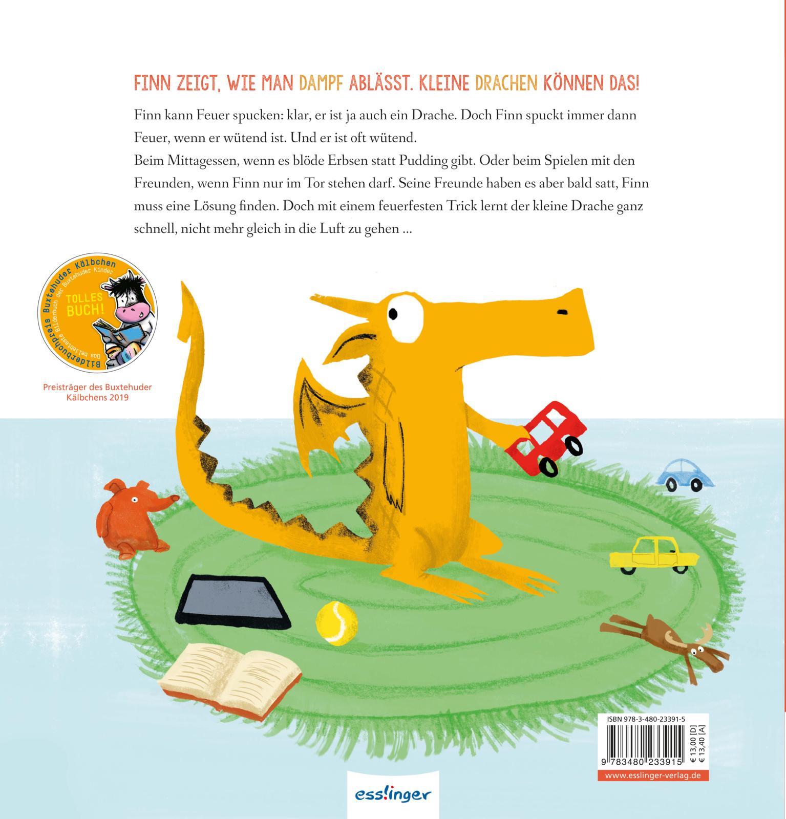 Rückseitencover Kleiner Drache - große Wut