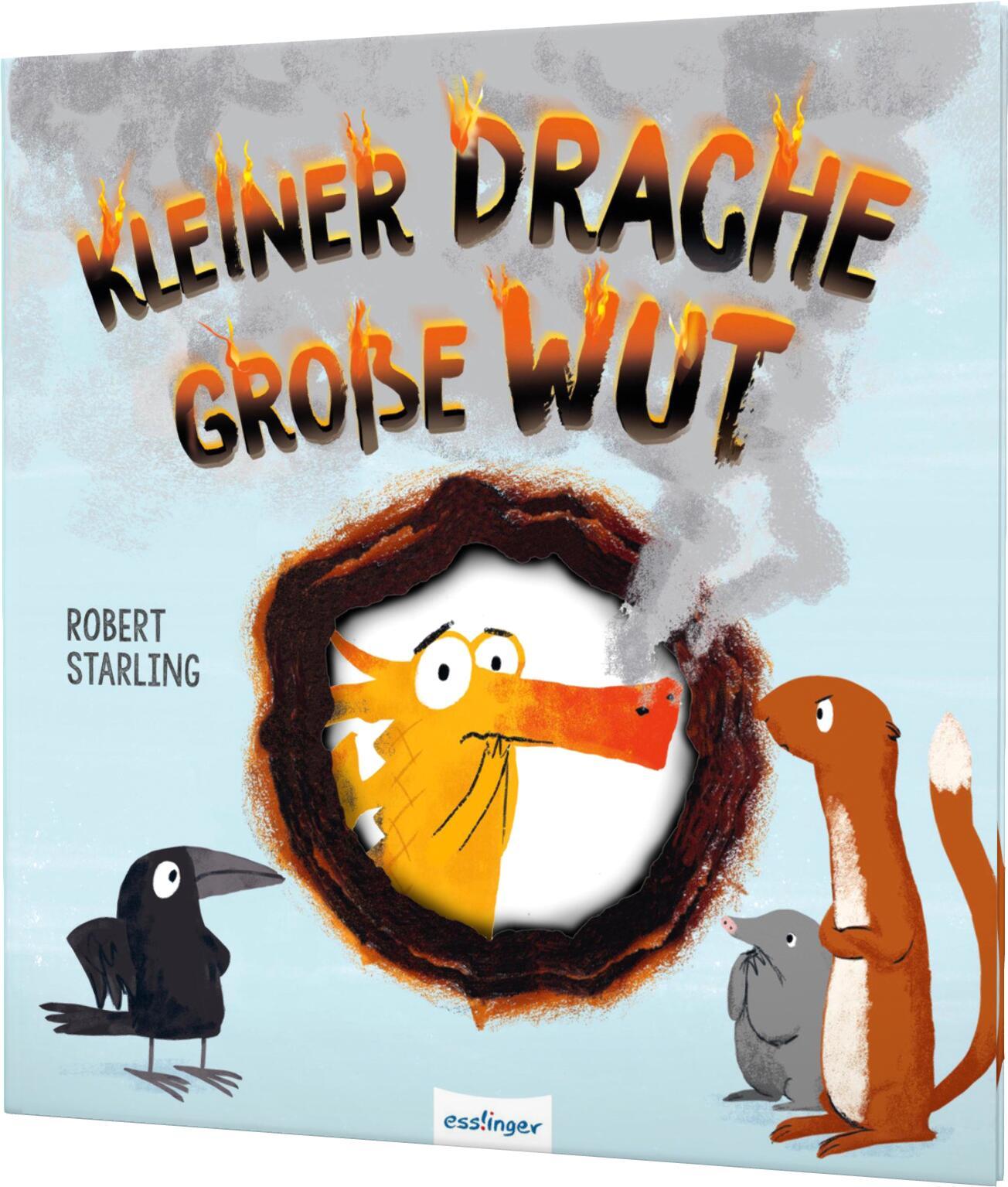 Vorderes Coverbild Kleiner Drache - große Wut