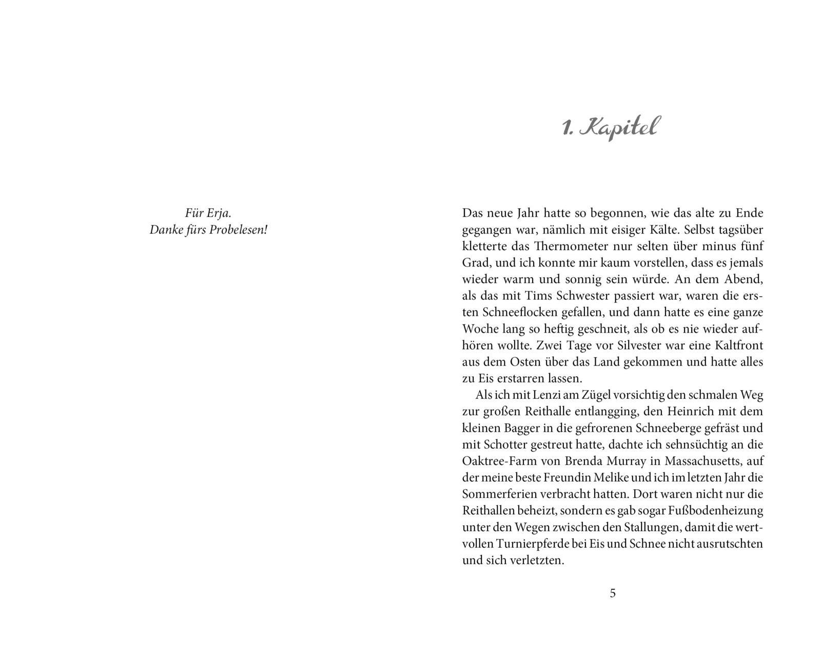 Beispielinhalt (Bild) Elena - Ein Leben für Pferde 6: Eine falsche Fährte