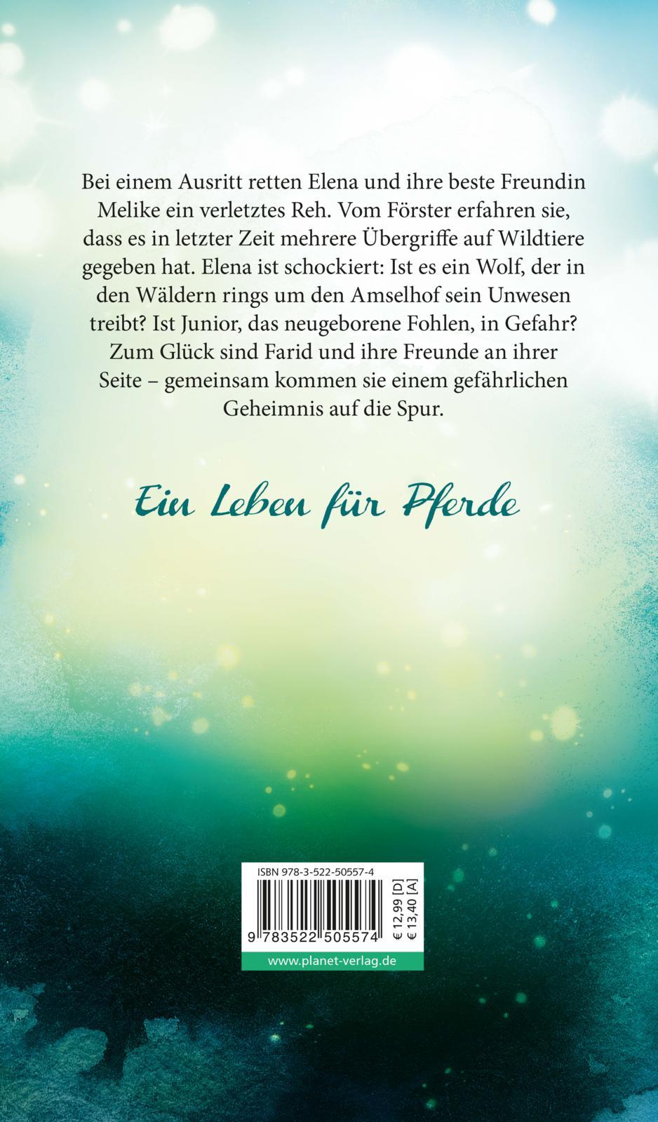 Rückseitencover Elena - Ein Leben für Pferde 6: Eine falsche Fährte