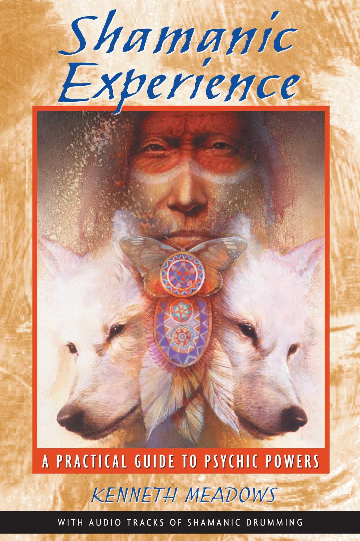 Vorderes Coverbild Shamanic Experience