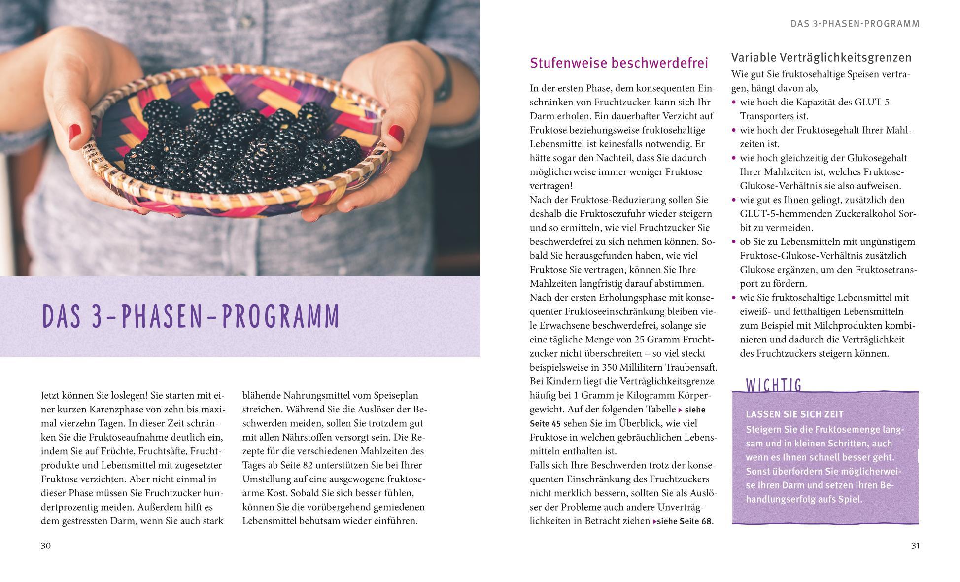 Beispielinhalt (Bild) Fruktose-Unverträglichkeit